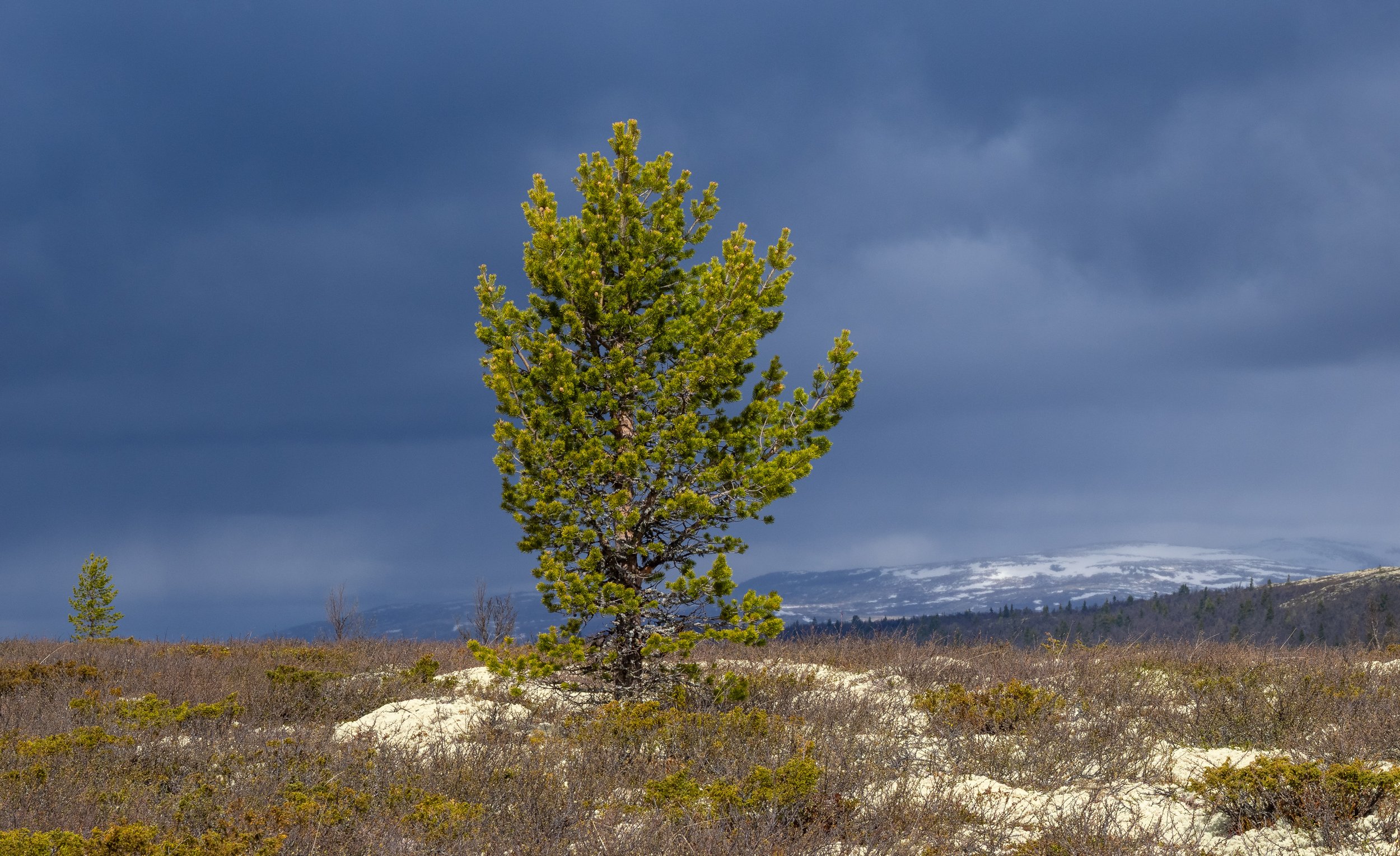 Norwegen-0392.jpg