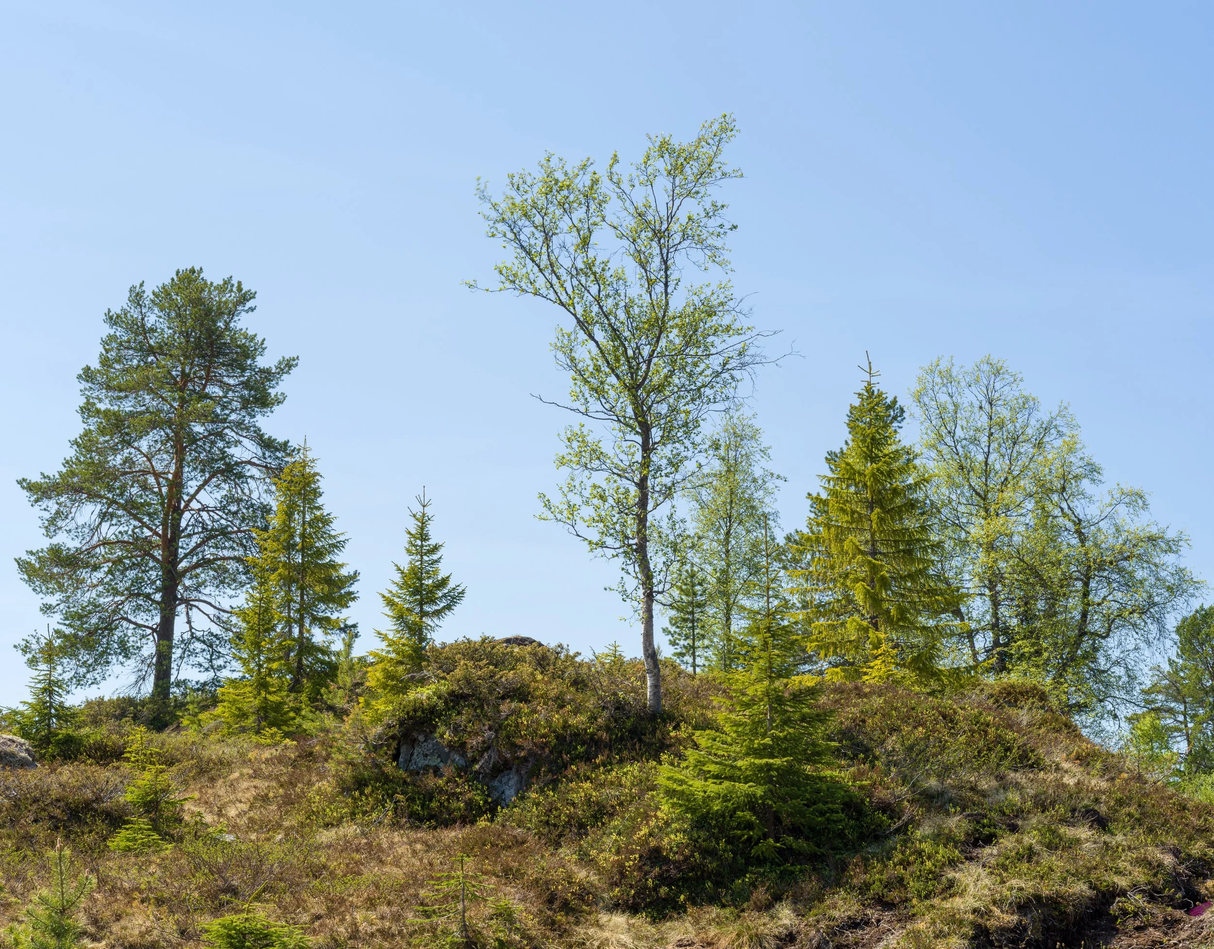 Norwegen-325.jpg