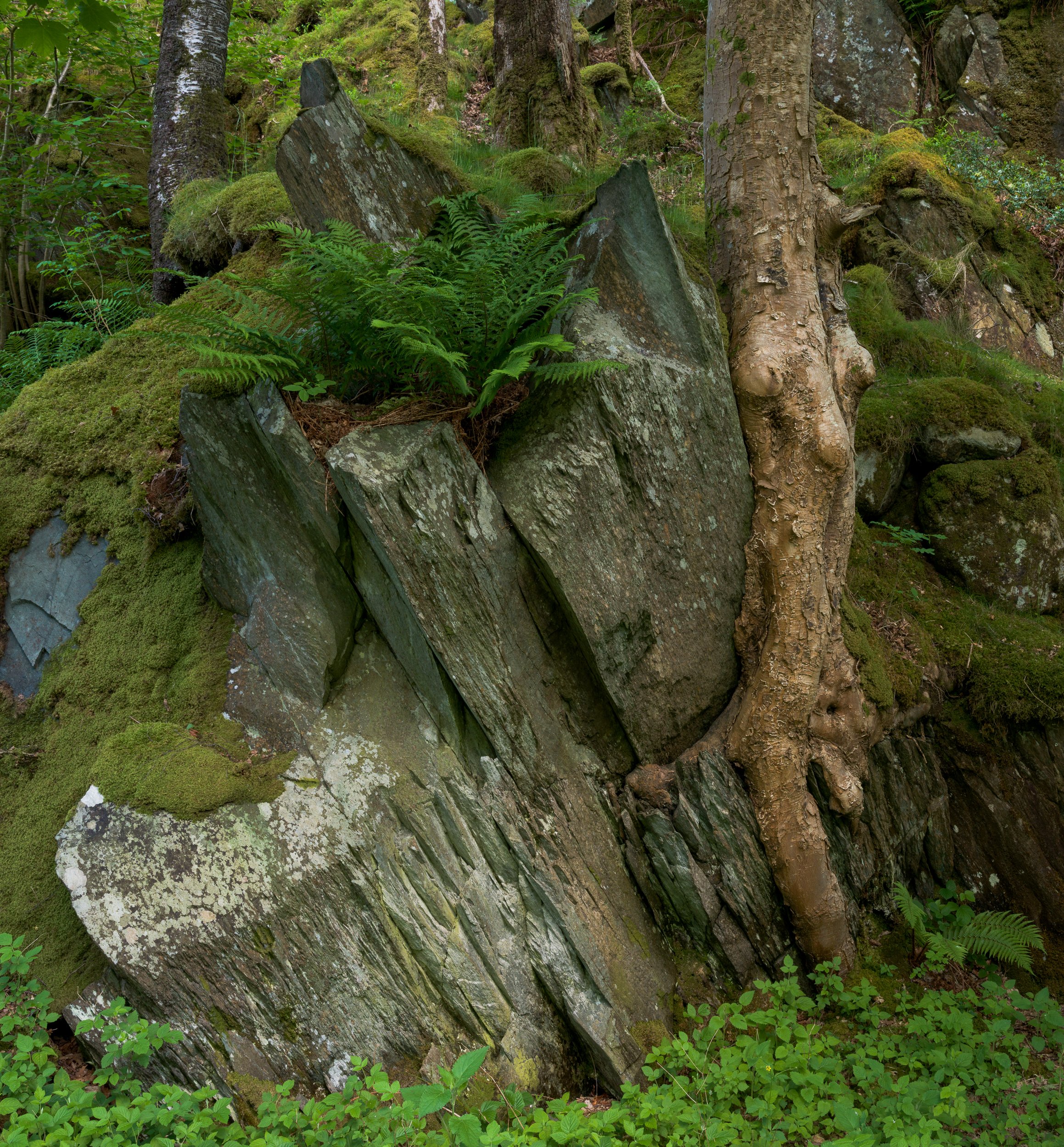 OTSchubert-Grossbritannien-2026-117.jpg