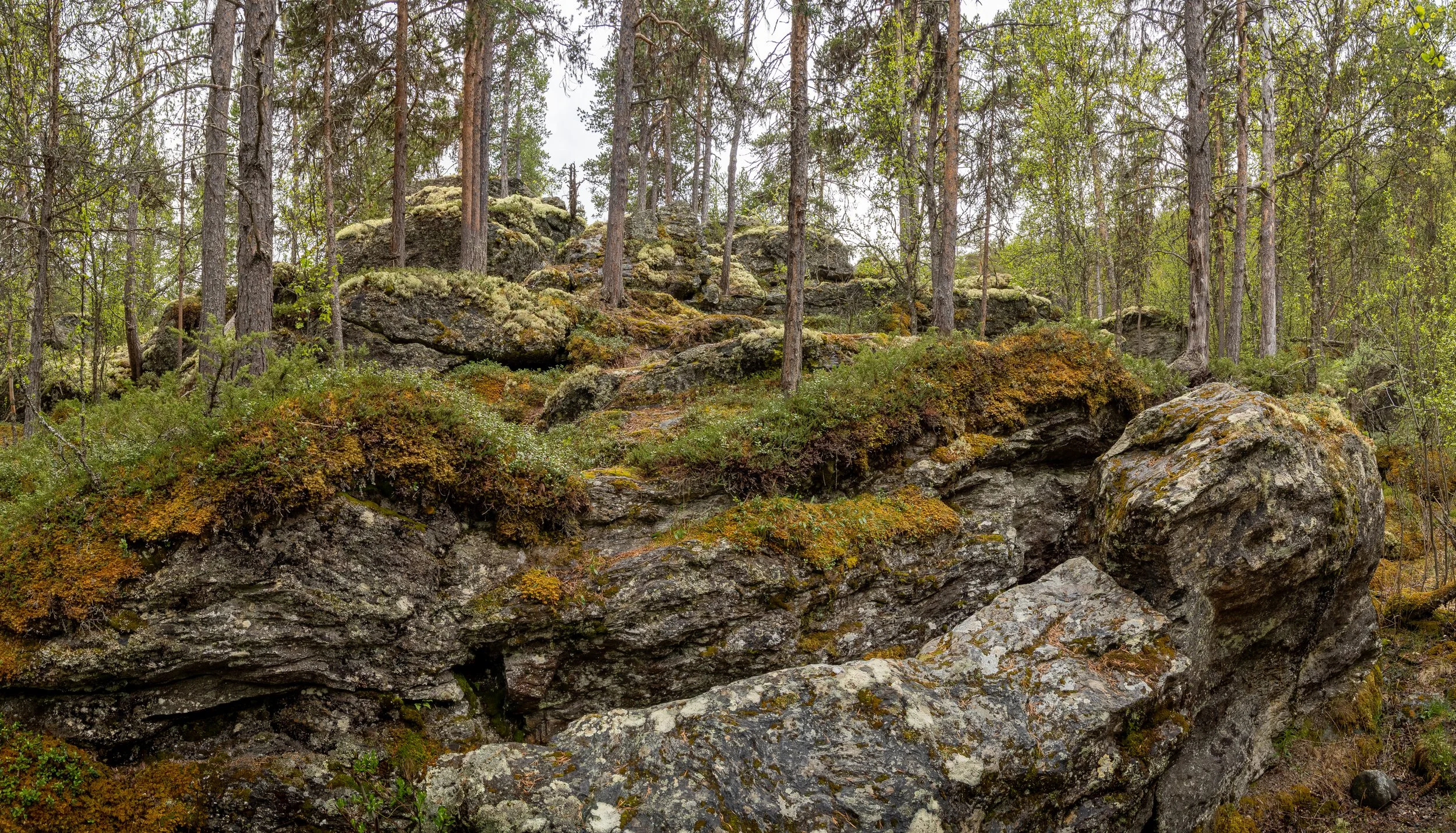 Norwegen-0449-Pano.jpg