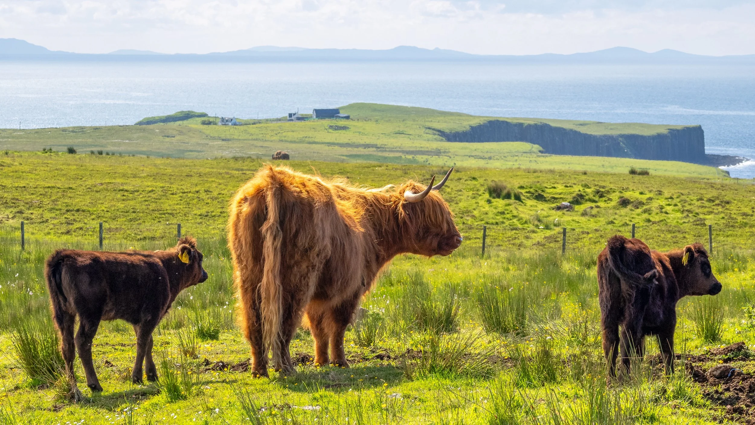 schottland-1653-Bearbeitet.jpg