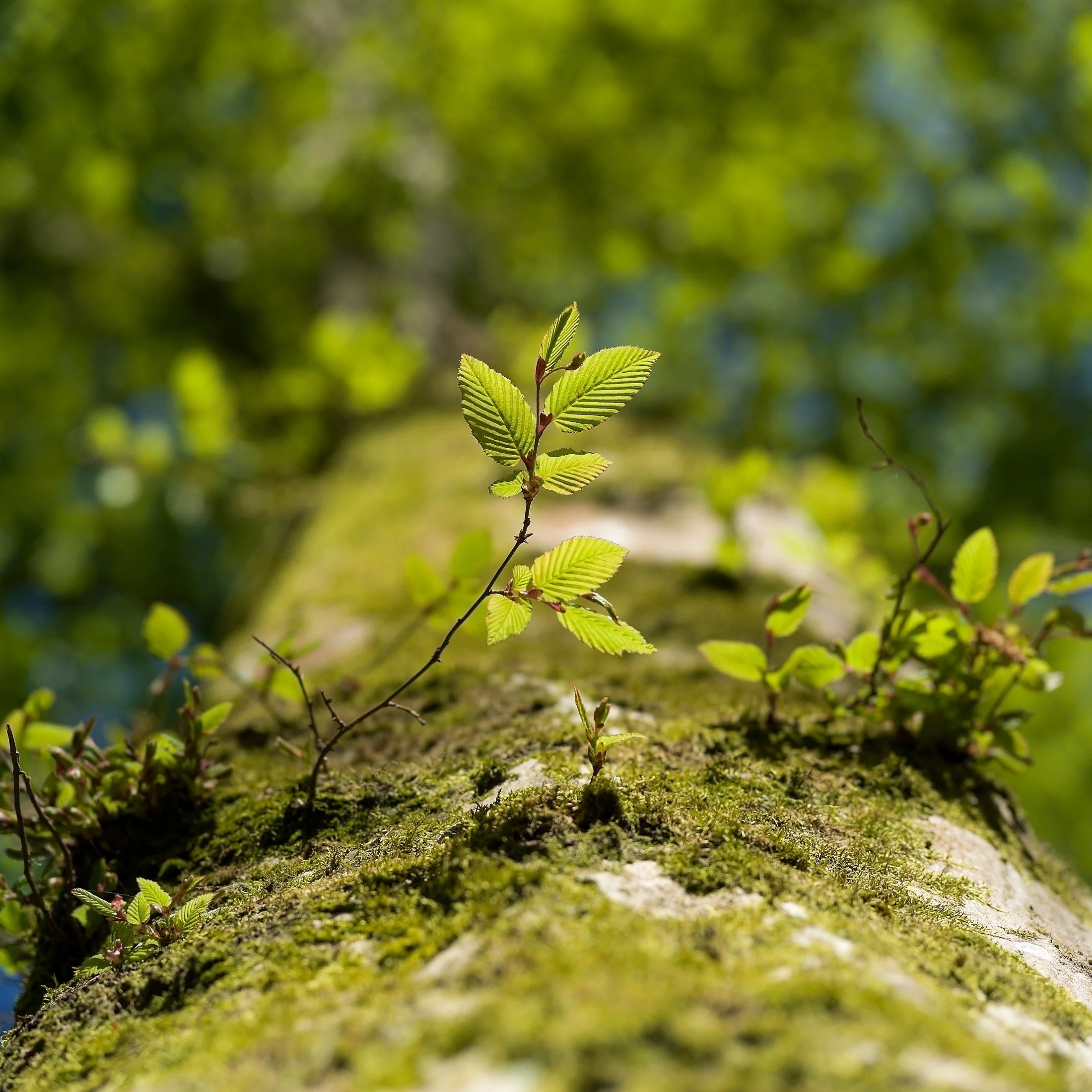 ots-photographie-natur-04-2023-004.jpg