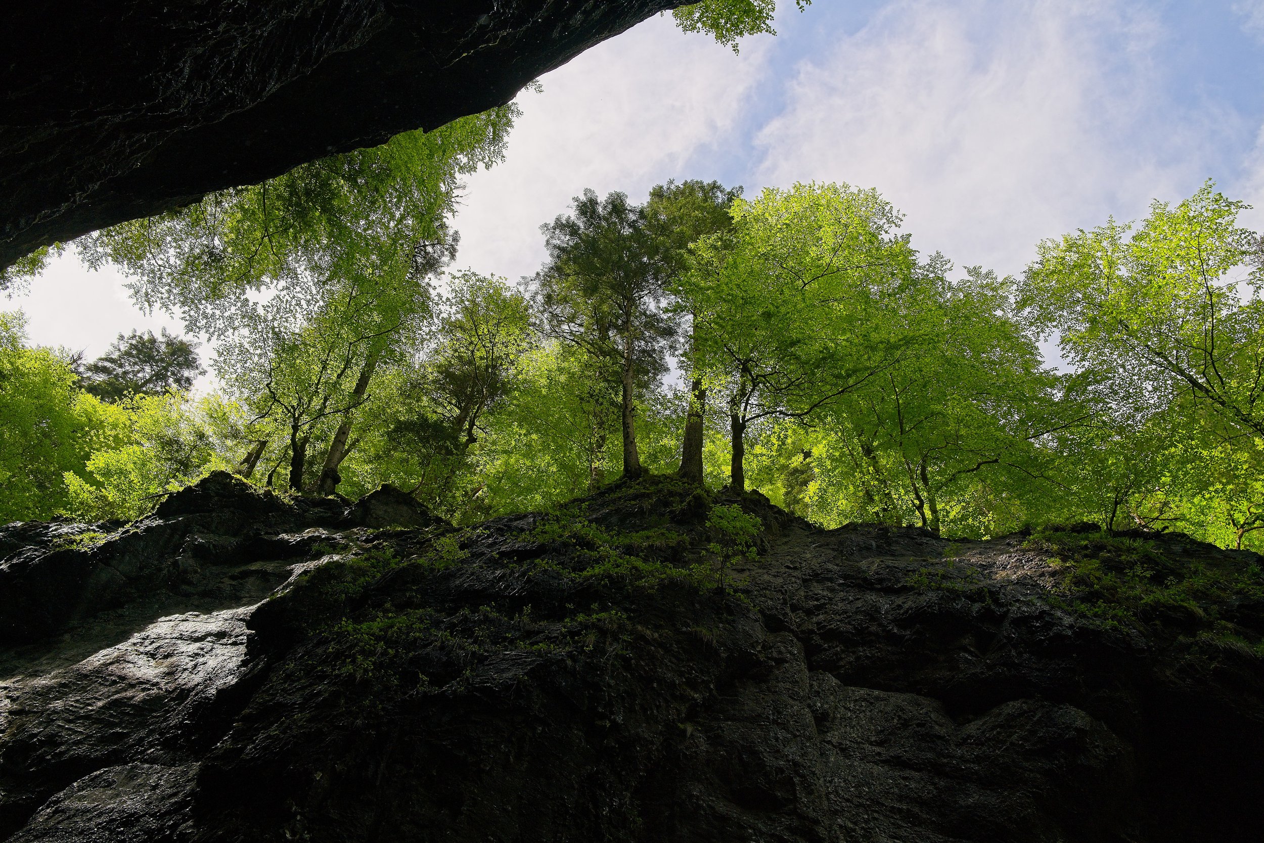 L1000184.jpg