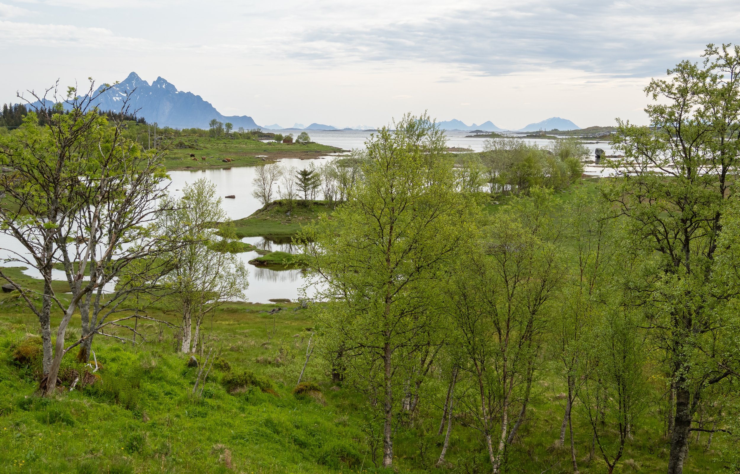 Norwegen-0354.jpg