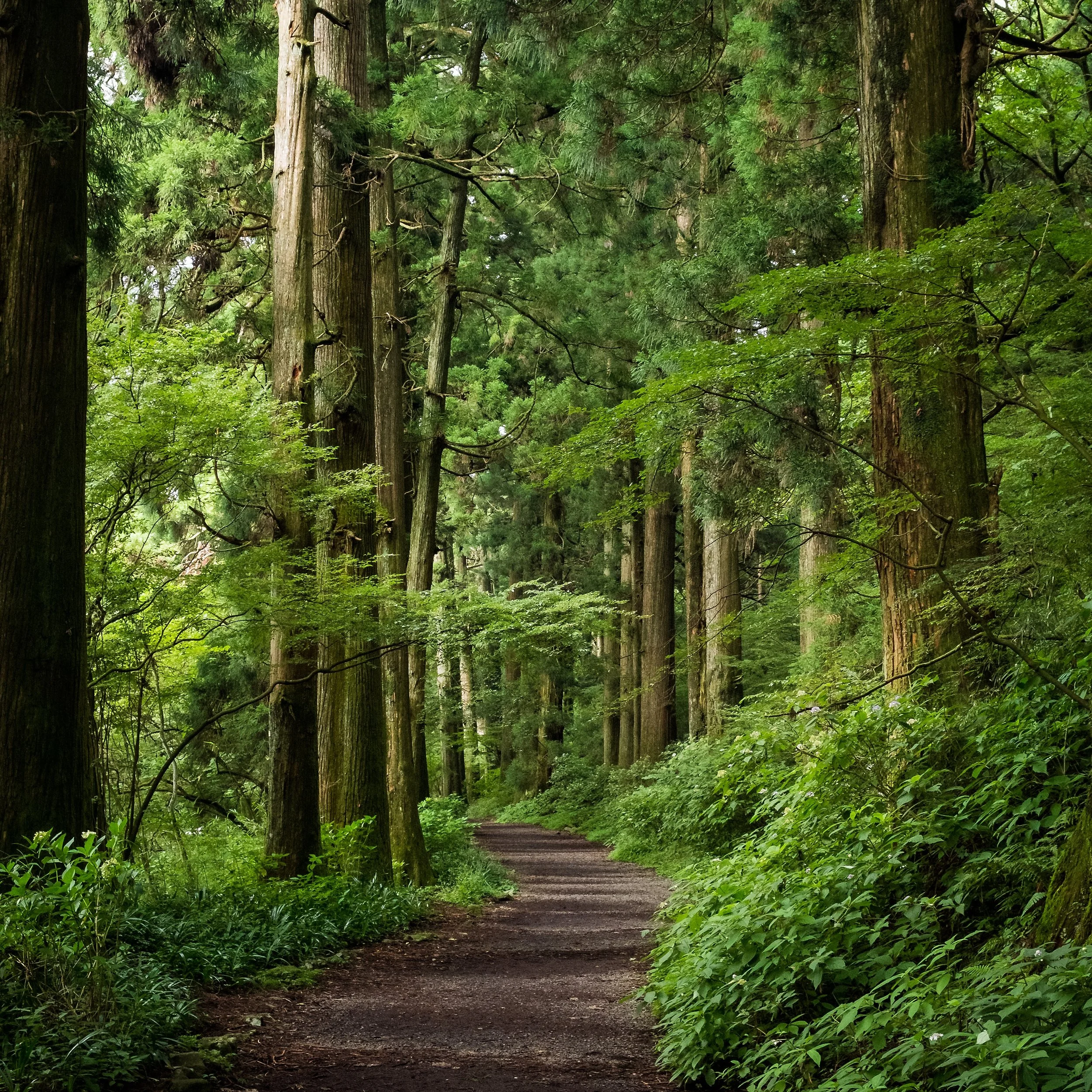 Japan-018.jpg
