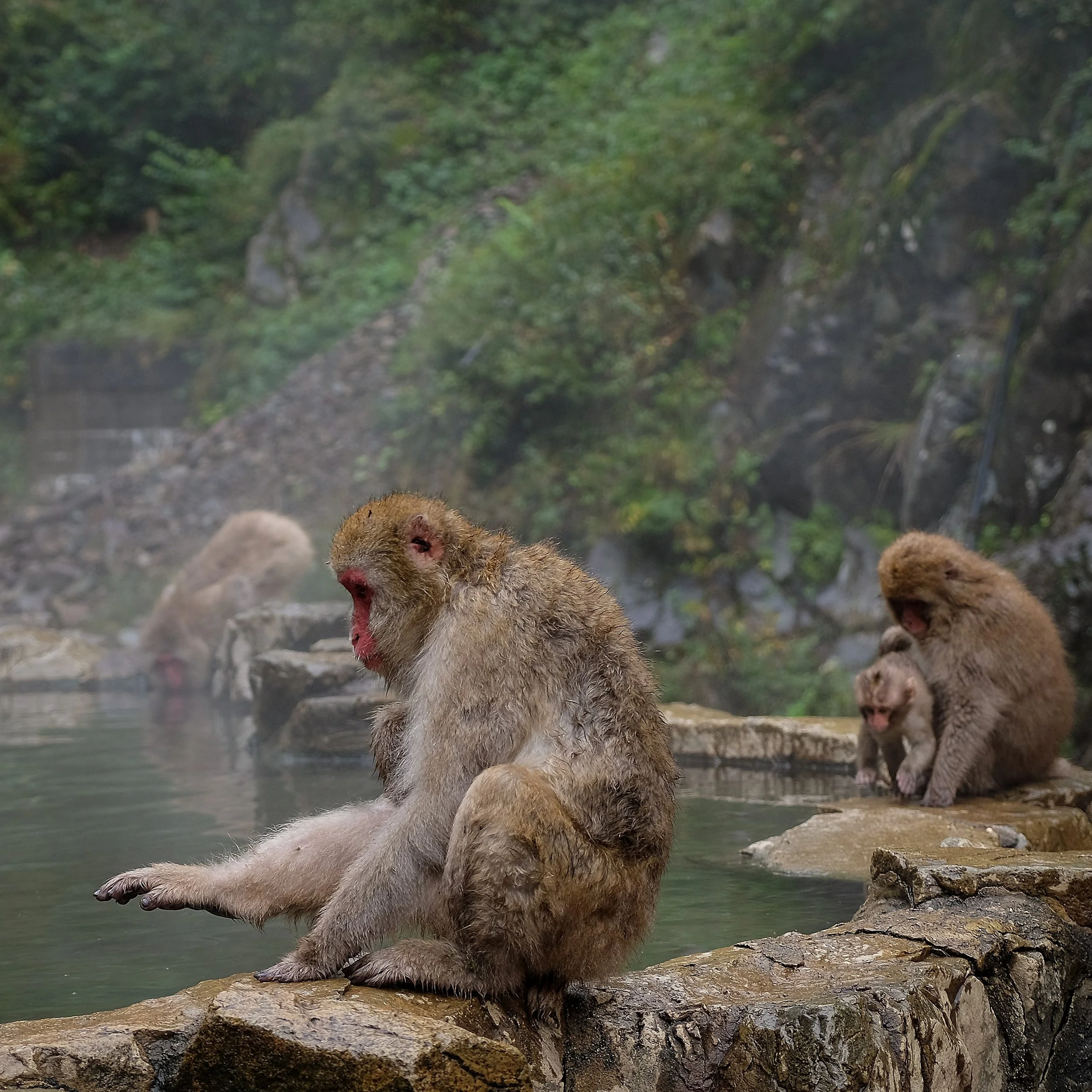Japan-053.jpg