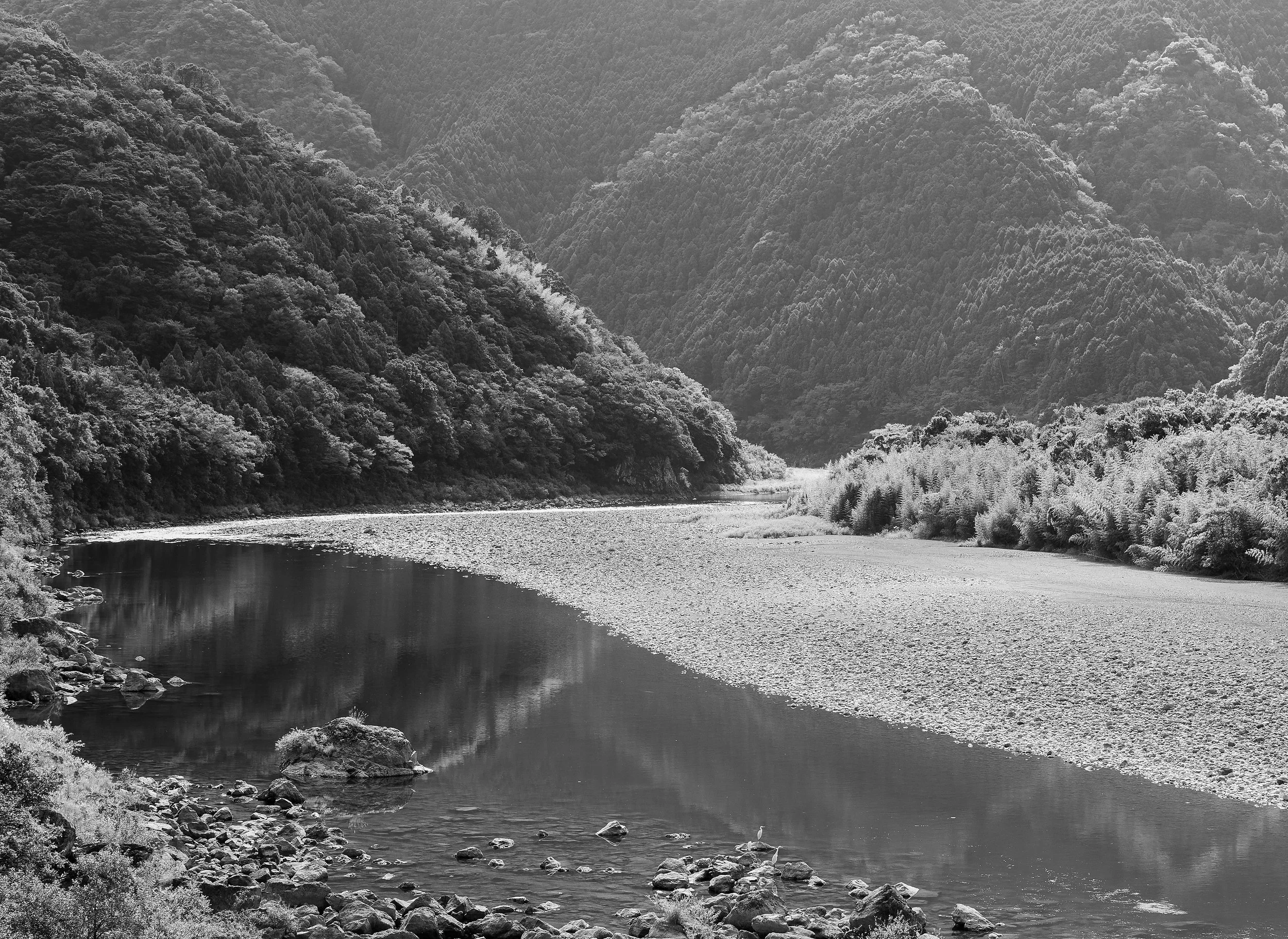 Nature-BnW-Tag-5-046-008.jpg