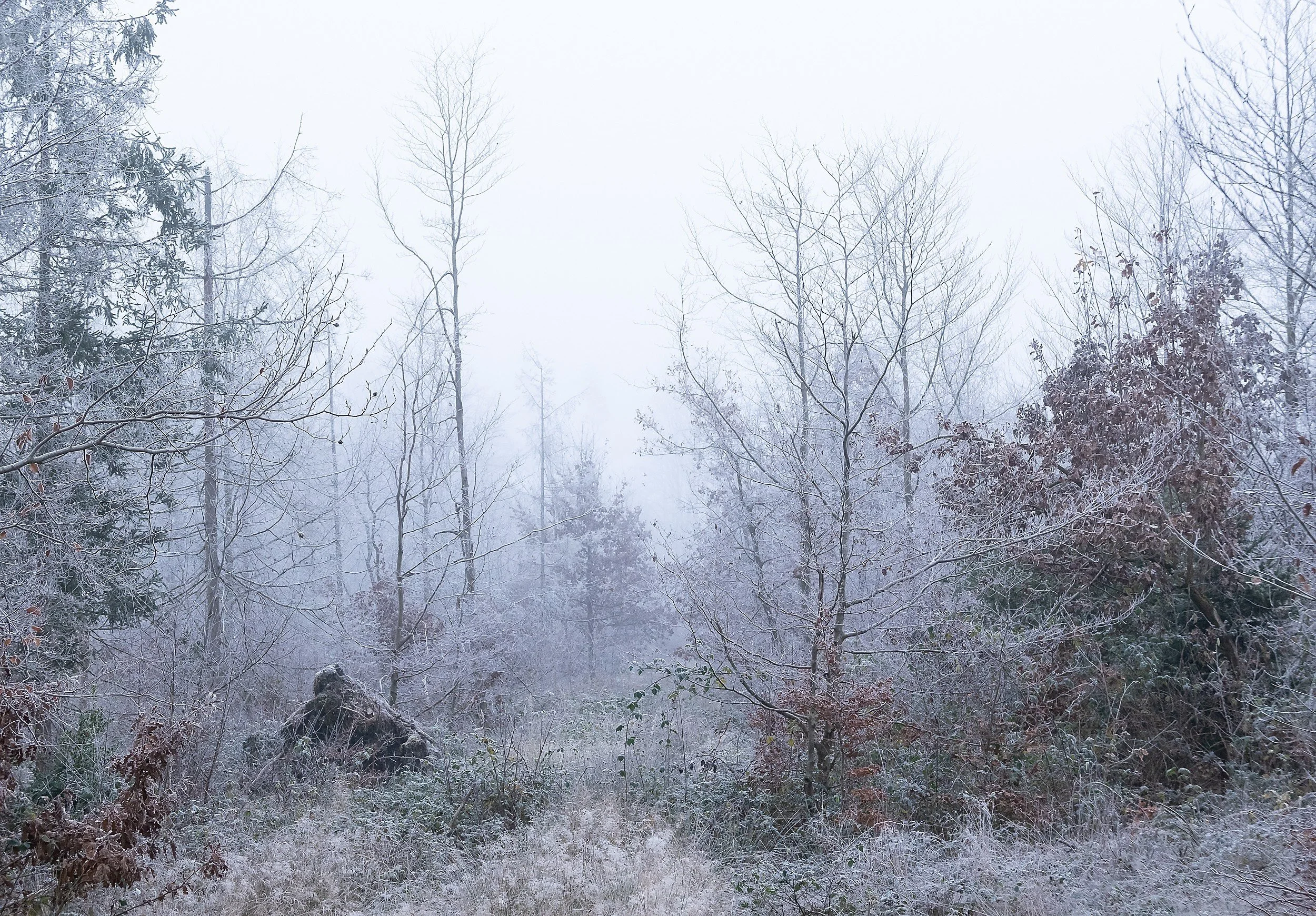 OTS-walks-winter-003.jpg