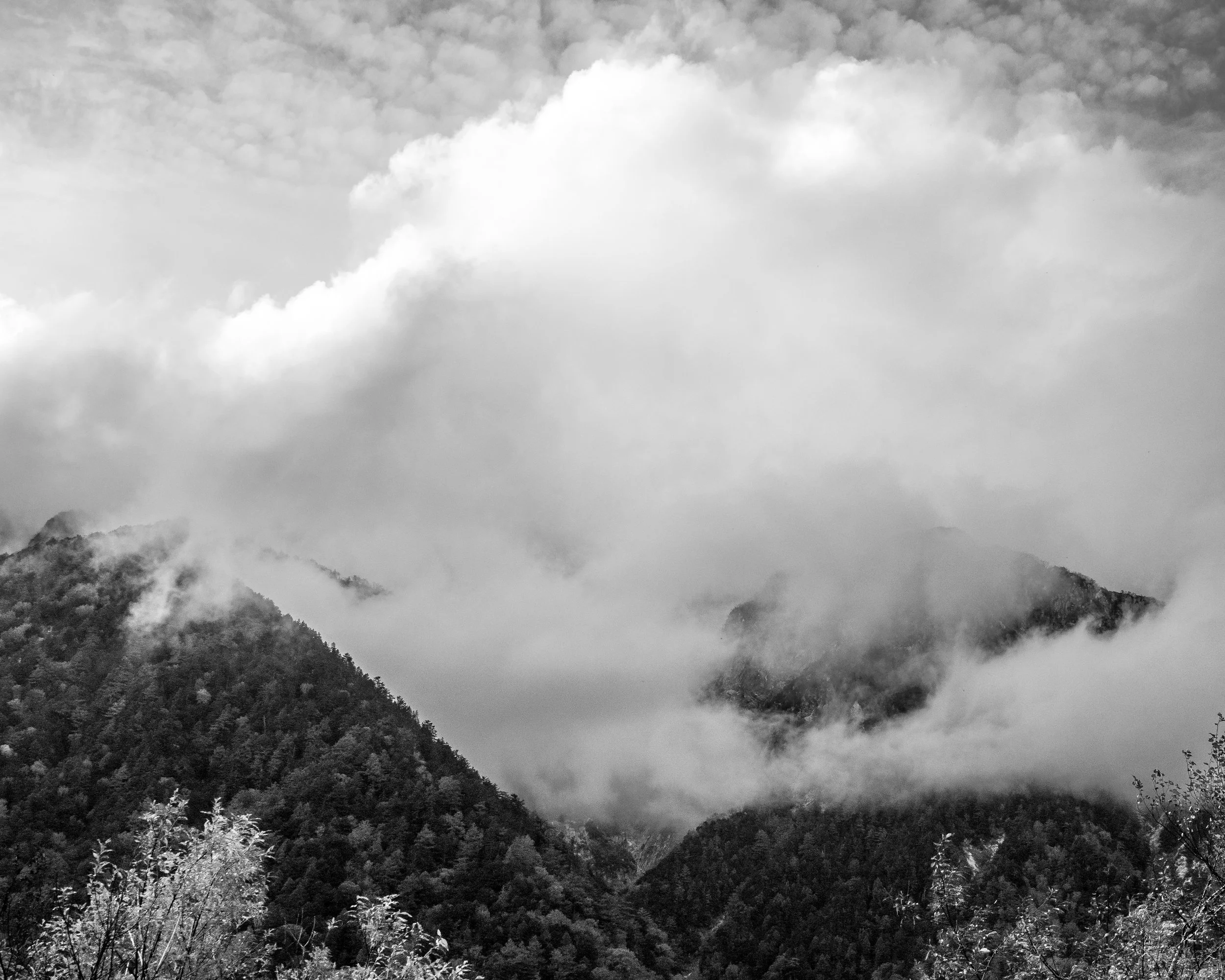 Japan-Okt-2024-498.jpg