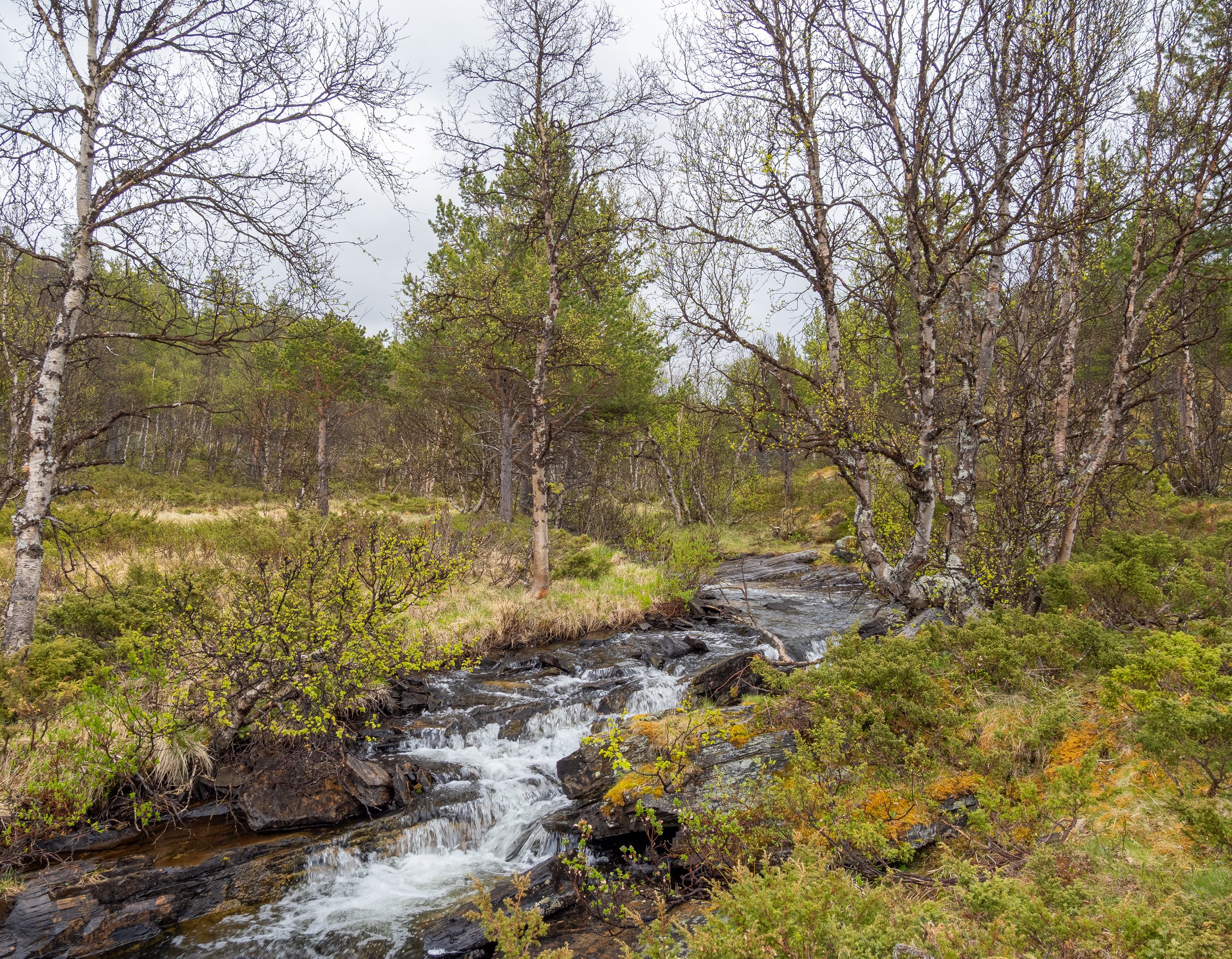 Norwegen-0984.jpg
