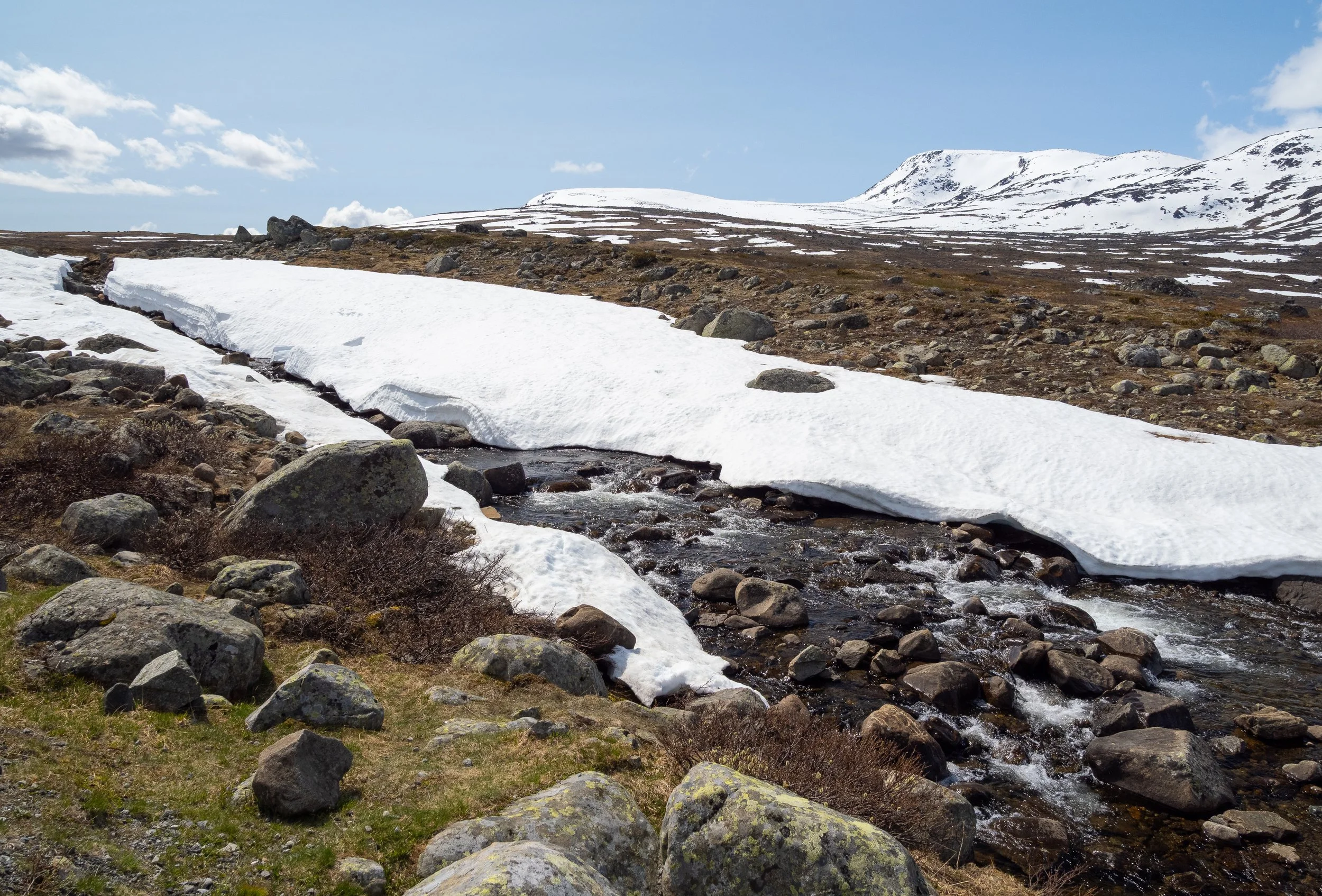 Norwegen-0761.jpg