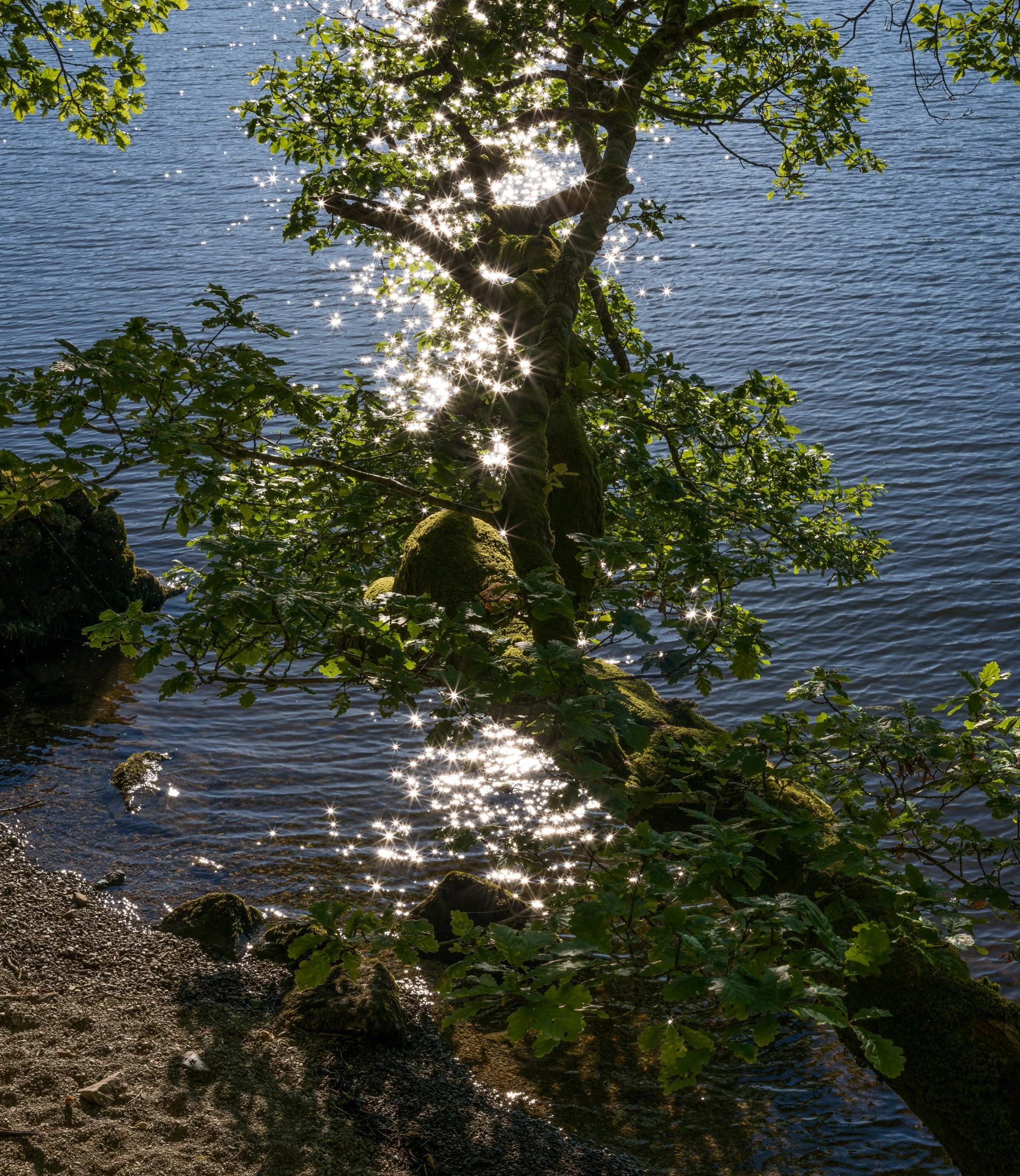 OTSchubert-Grossbritannien-2026-096.jpg