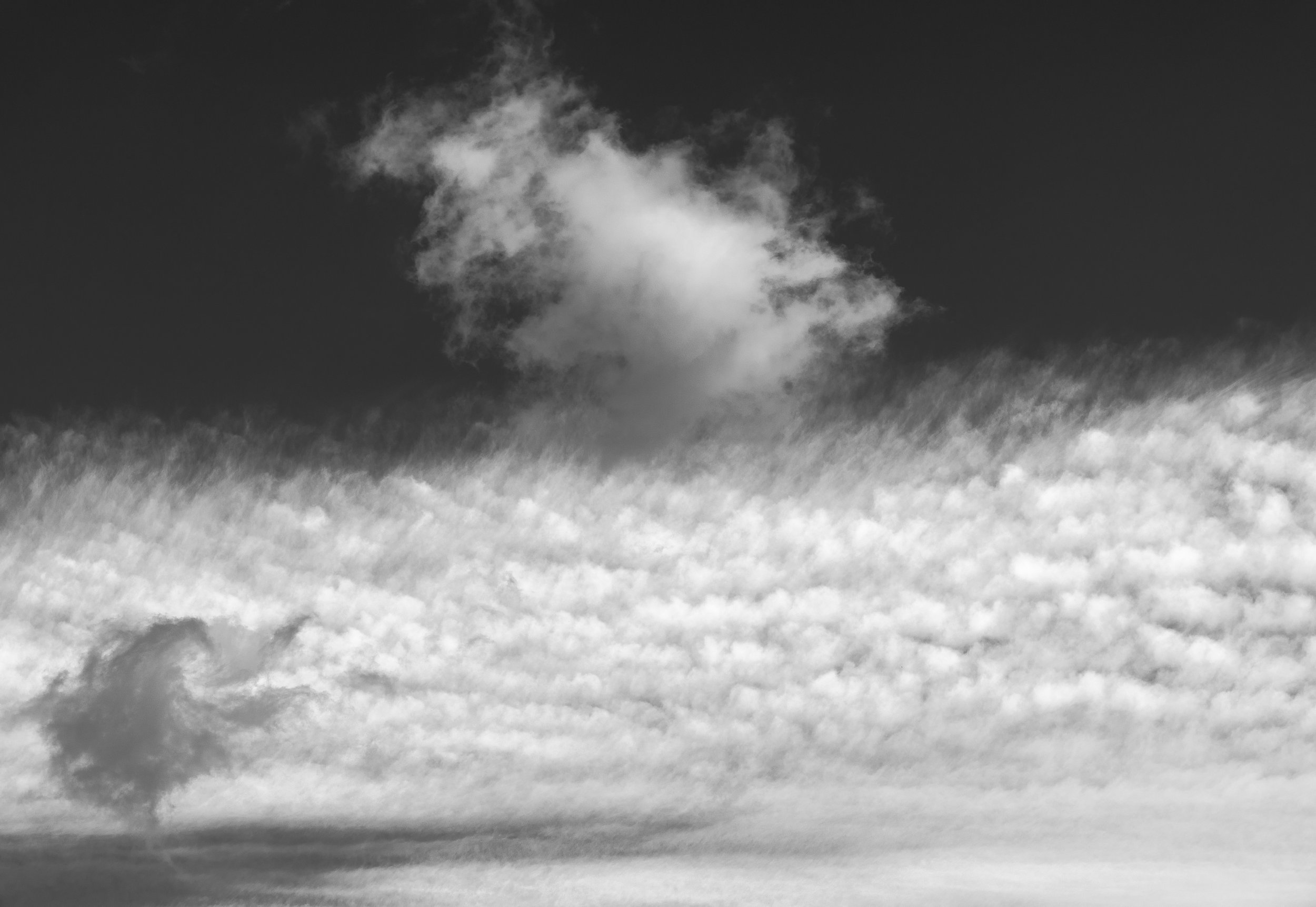Nature-BnW-Tag-13-022-035.jpg
