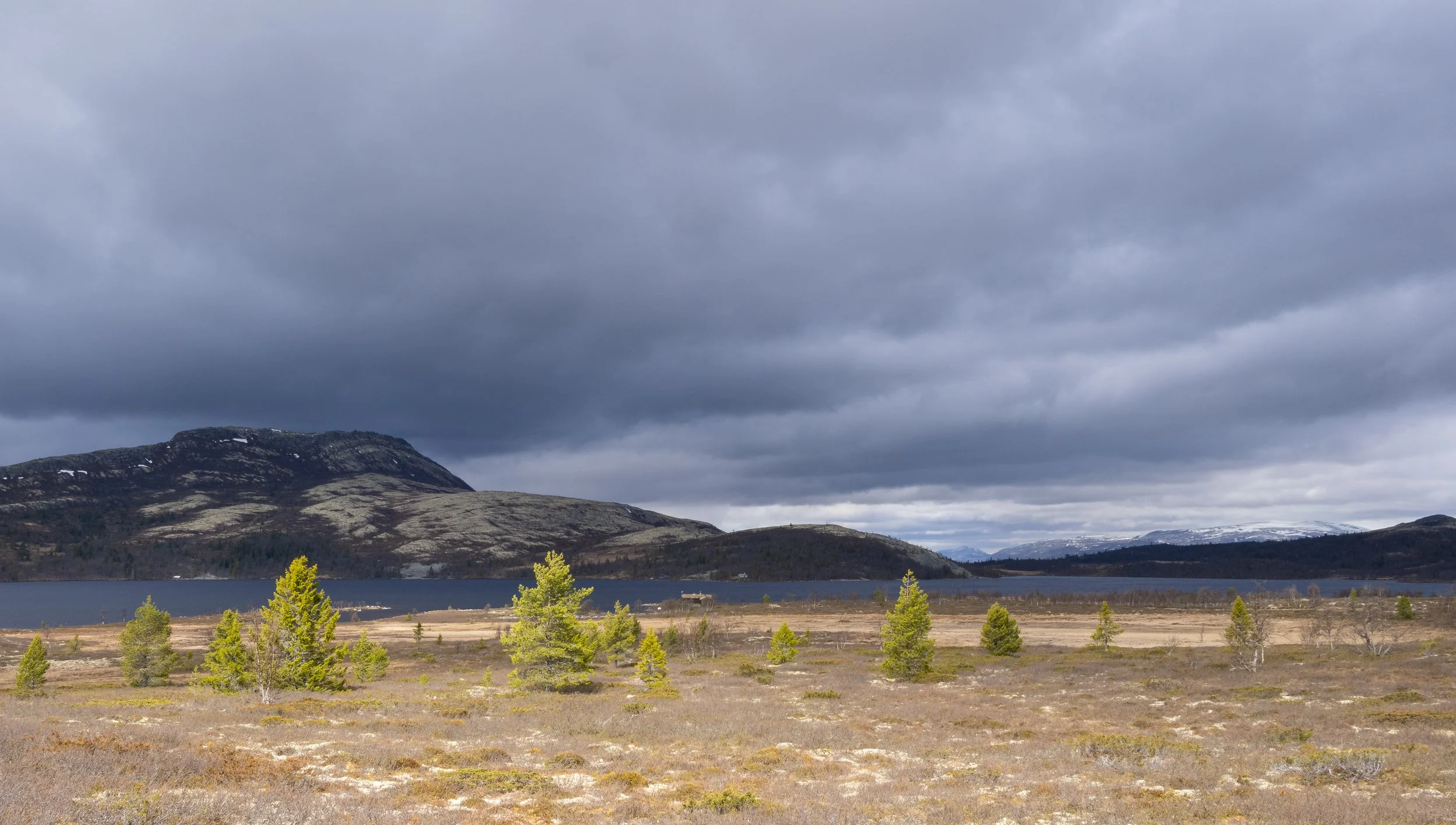 Norwegen-1691.jpg