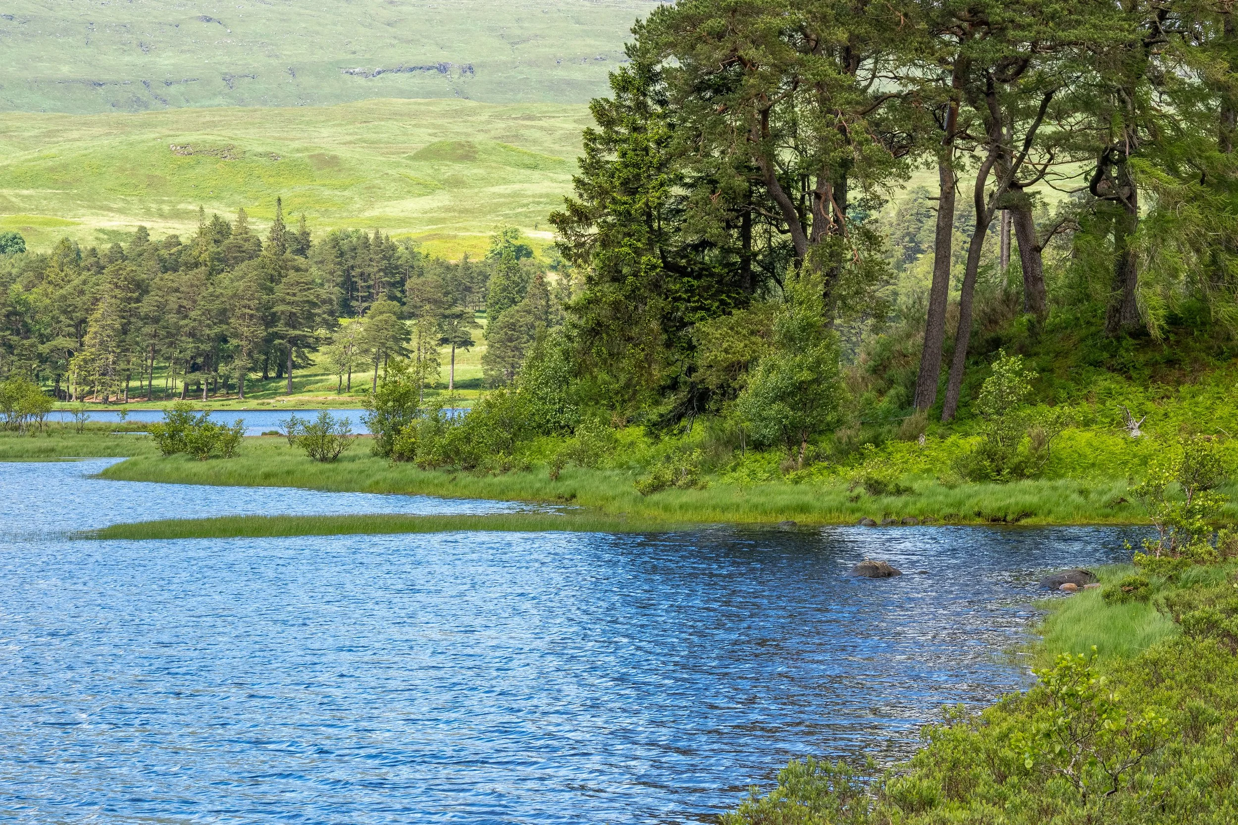 schottland-0684.jpg