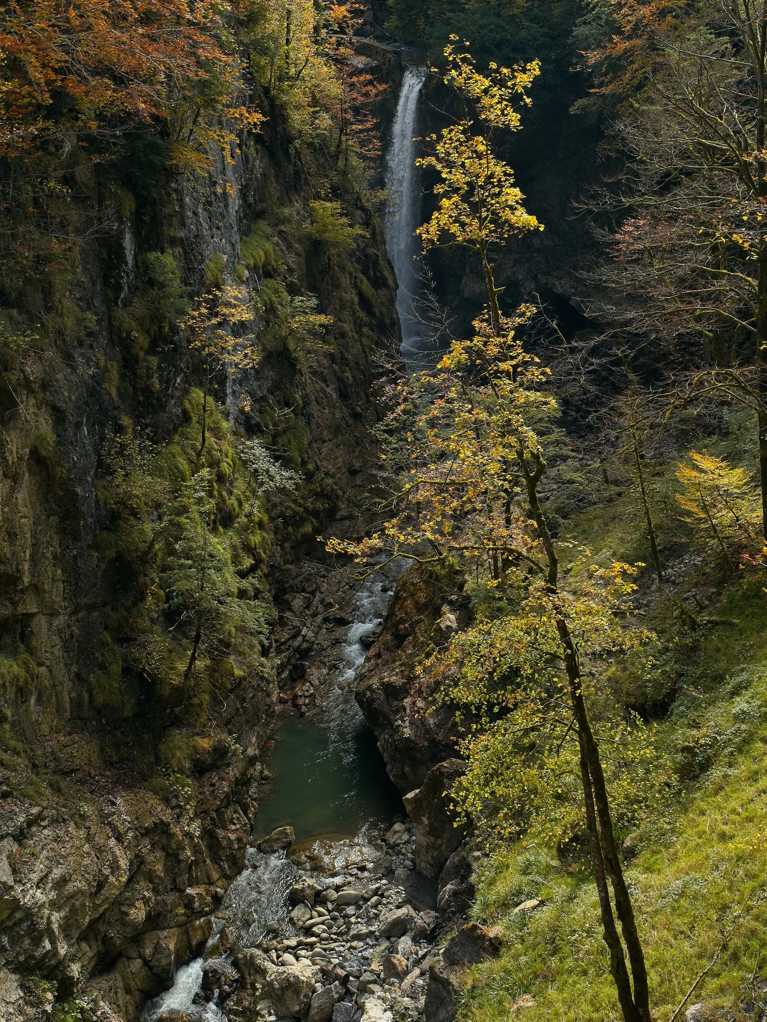_1000981.jpg