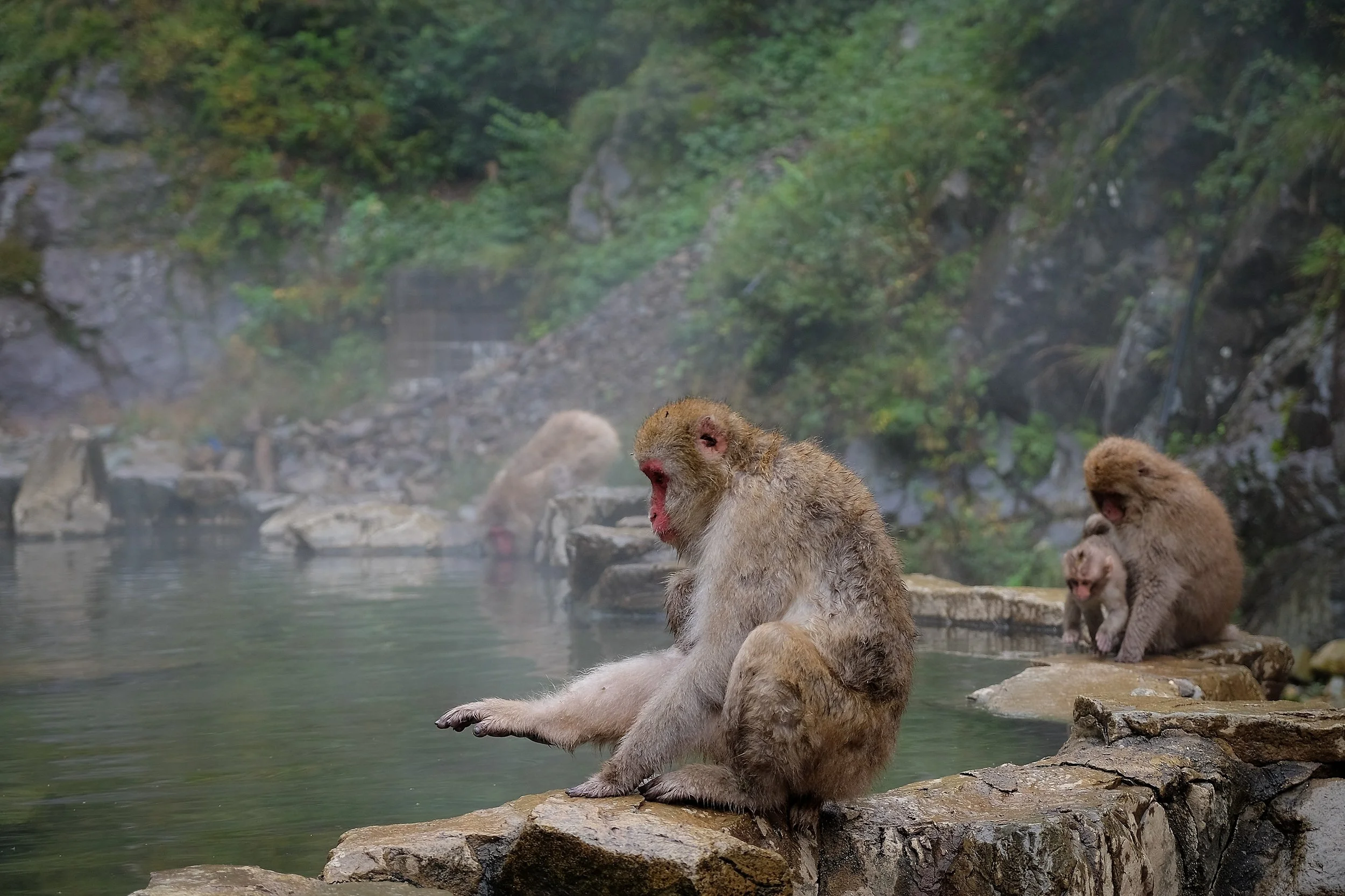 japan-092.jpg