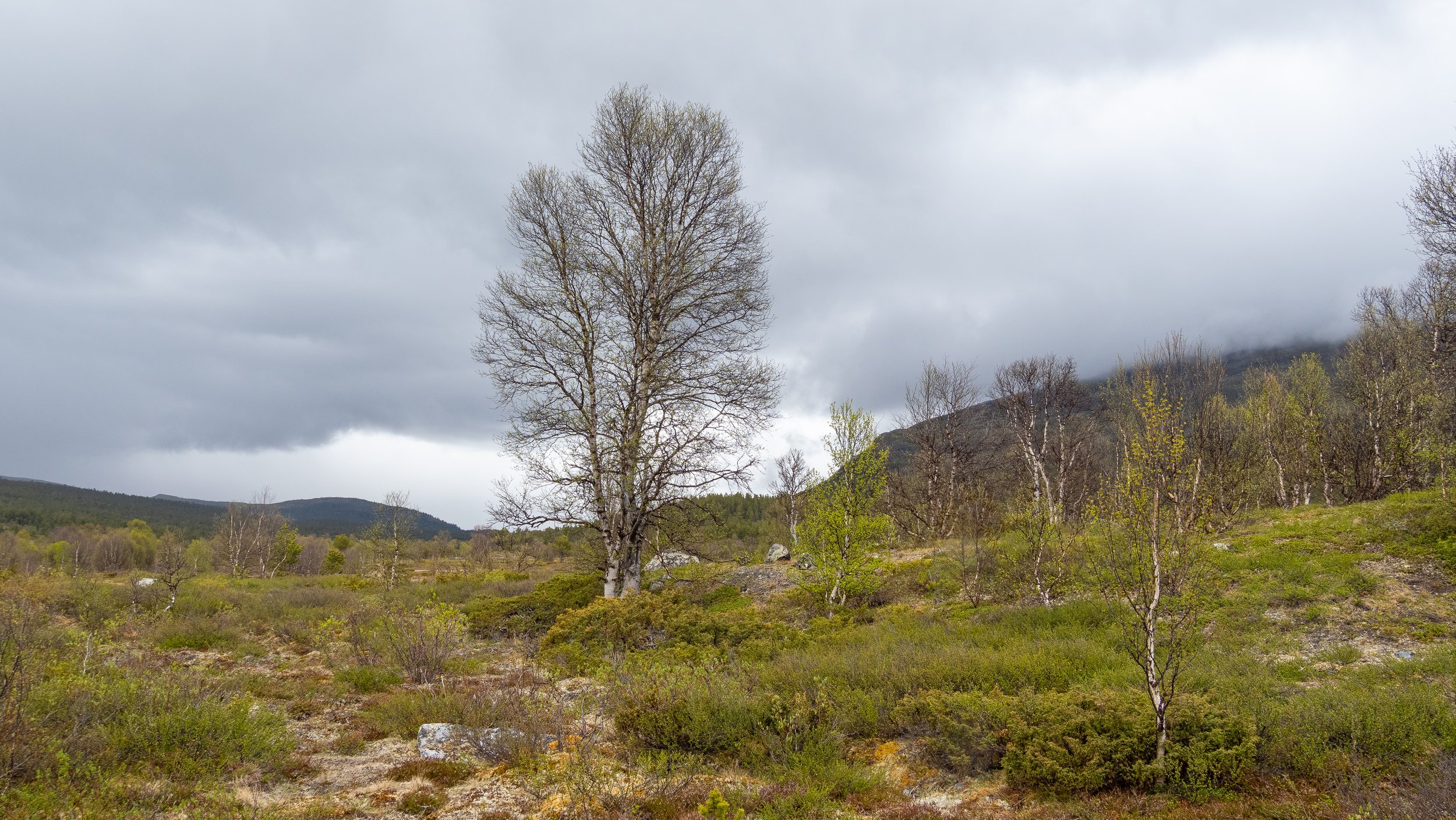 Norwegen-1269.jpg