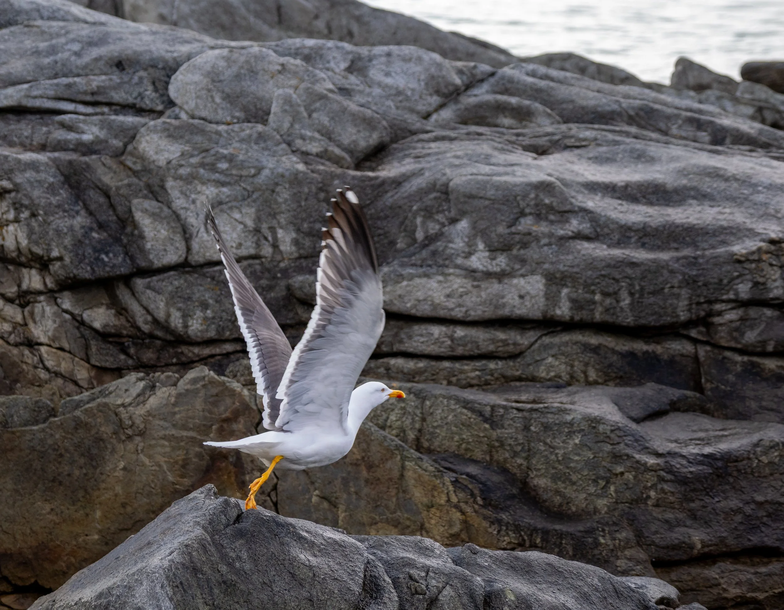 Norwegen-0663.jpg