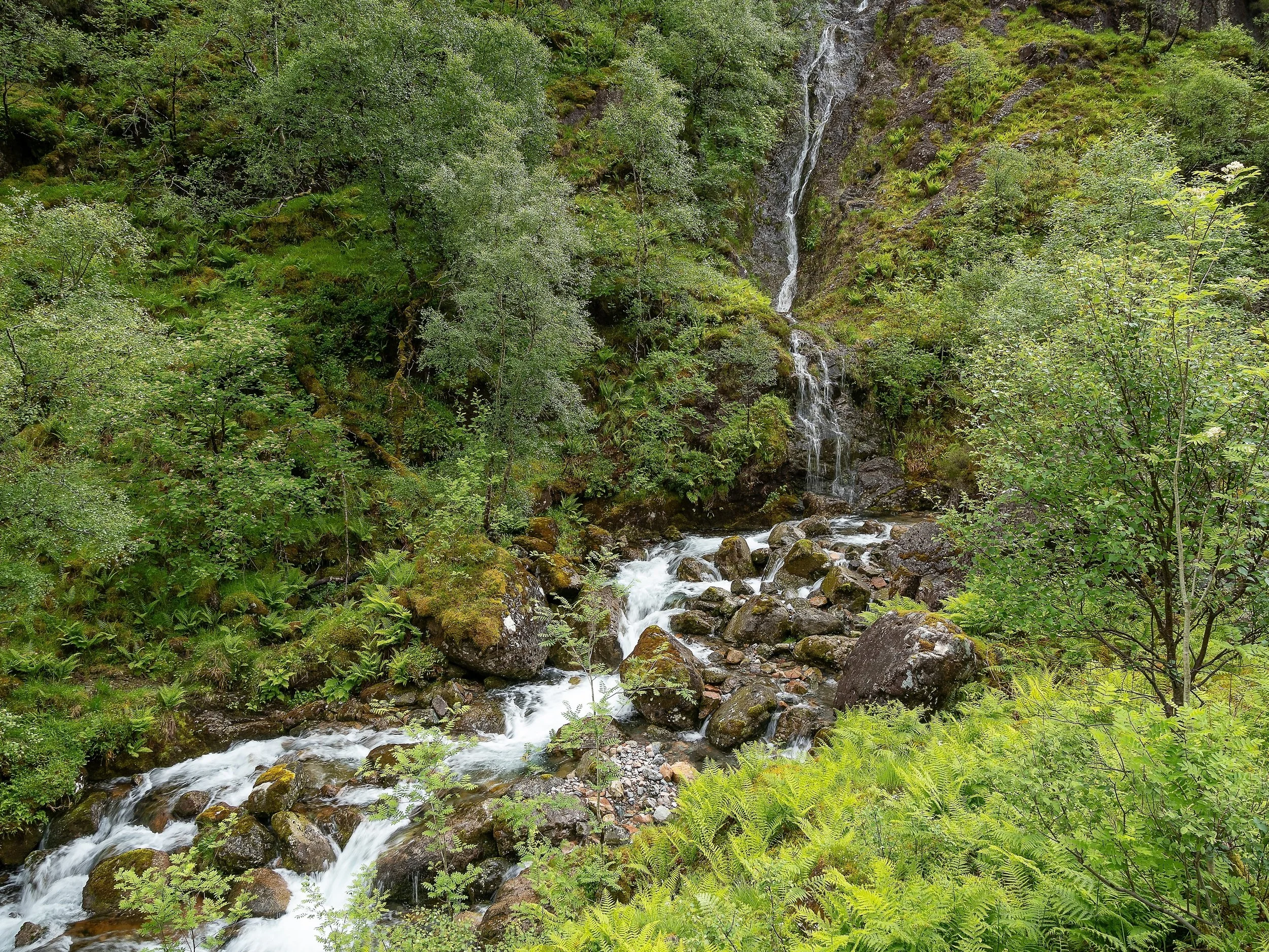 OTS-Schottland-color-015.jpg