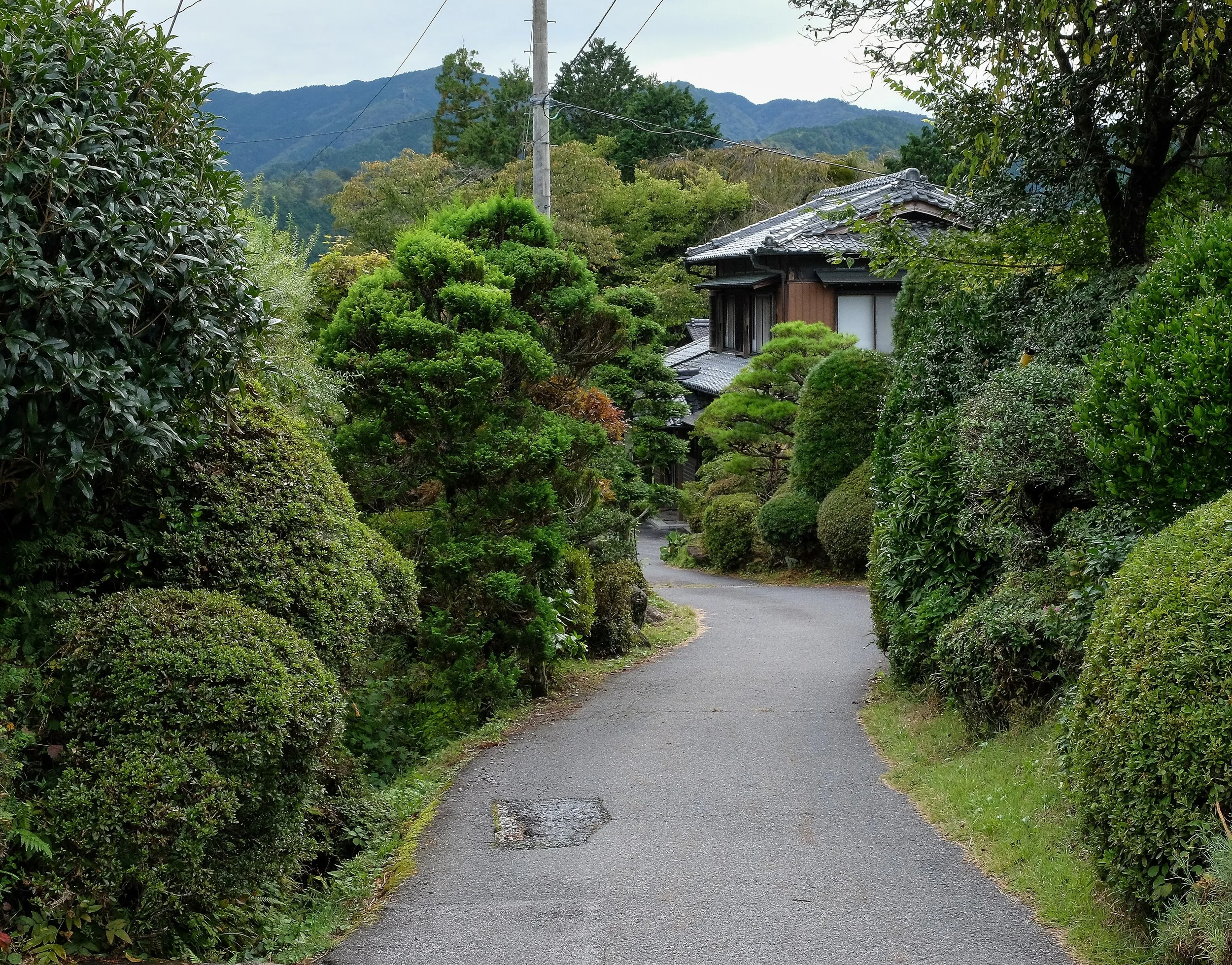 Japan-029.jpg