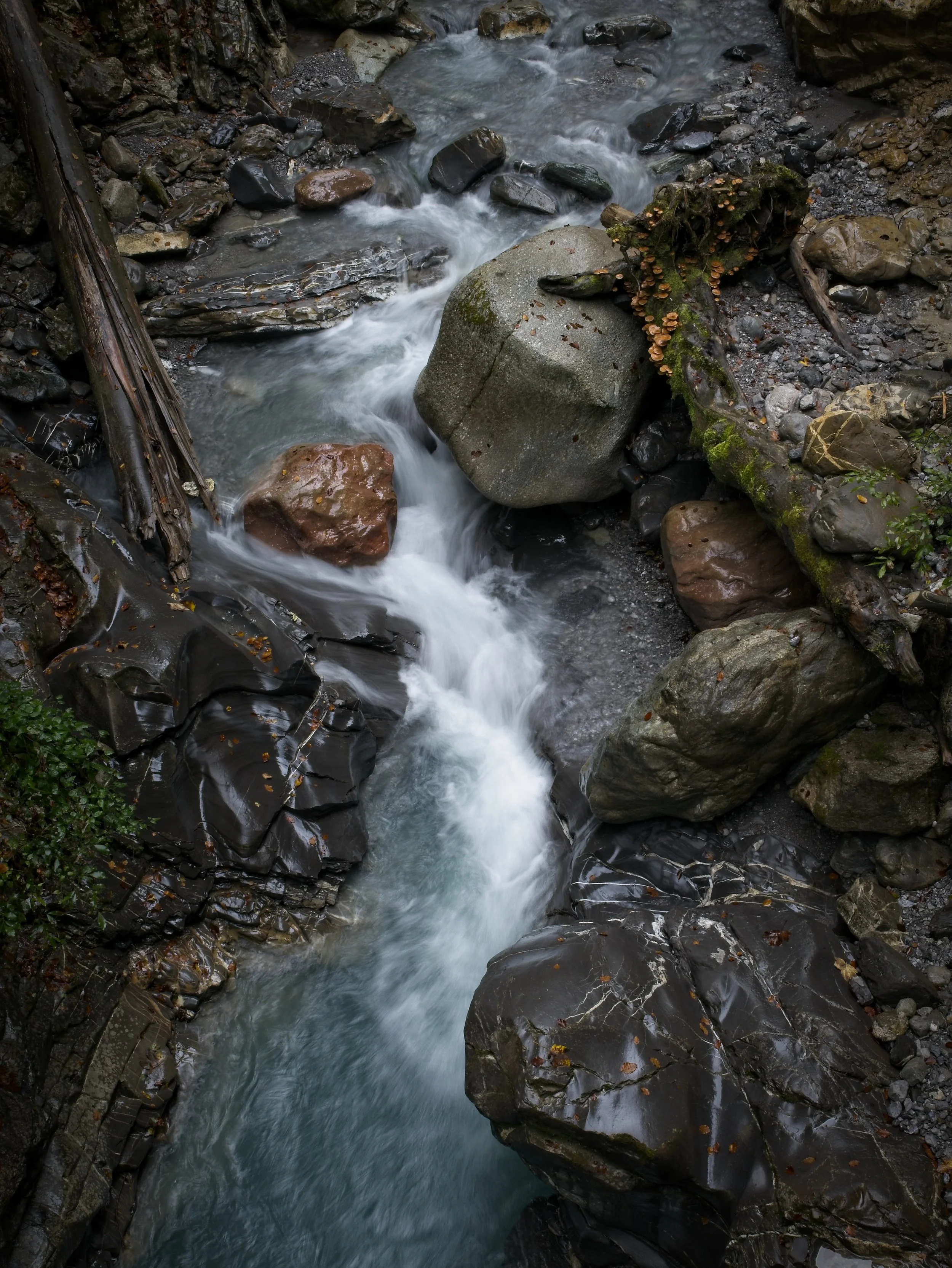 _1000518.jpg