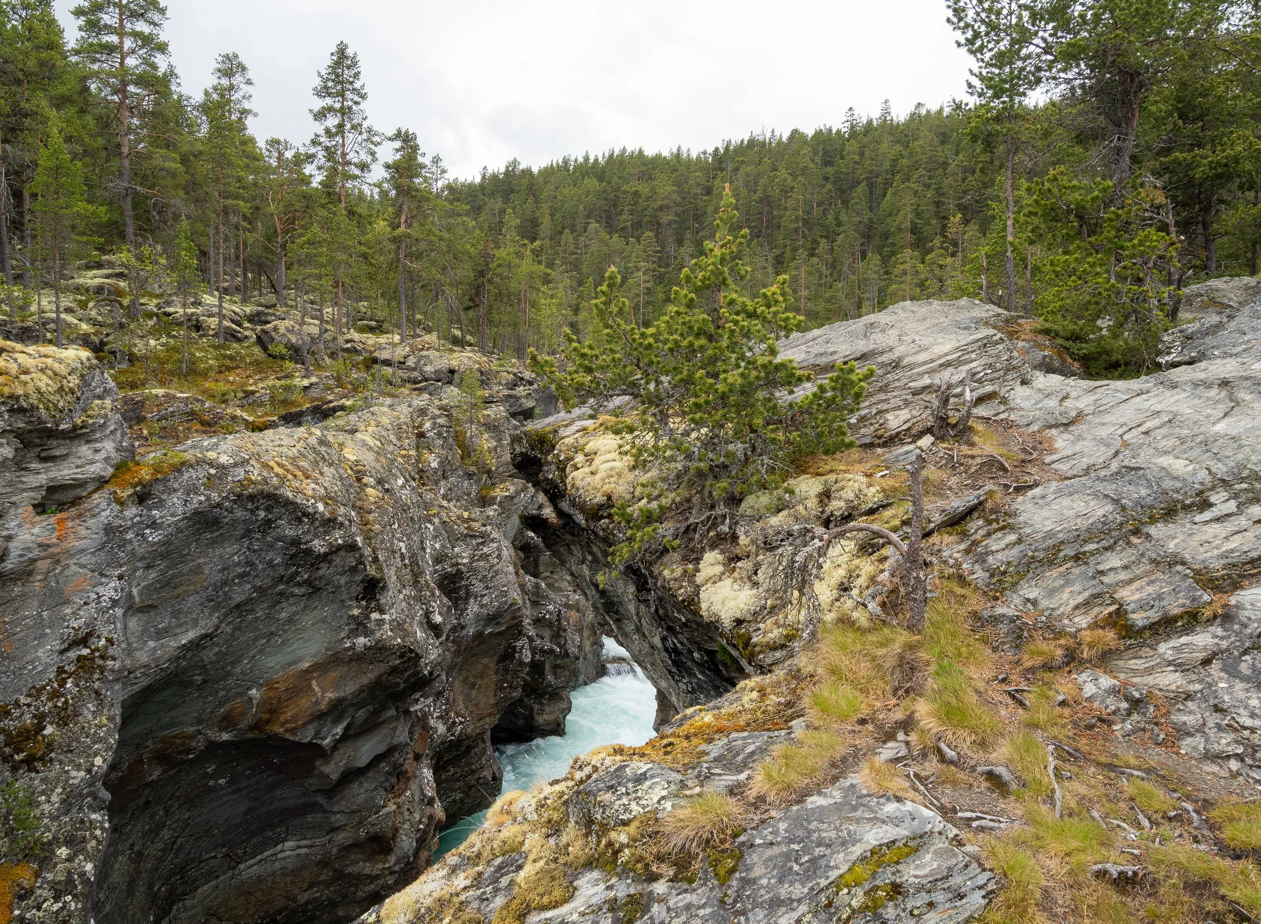 Norwegen-1028.jpg
