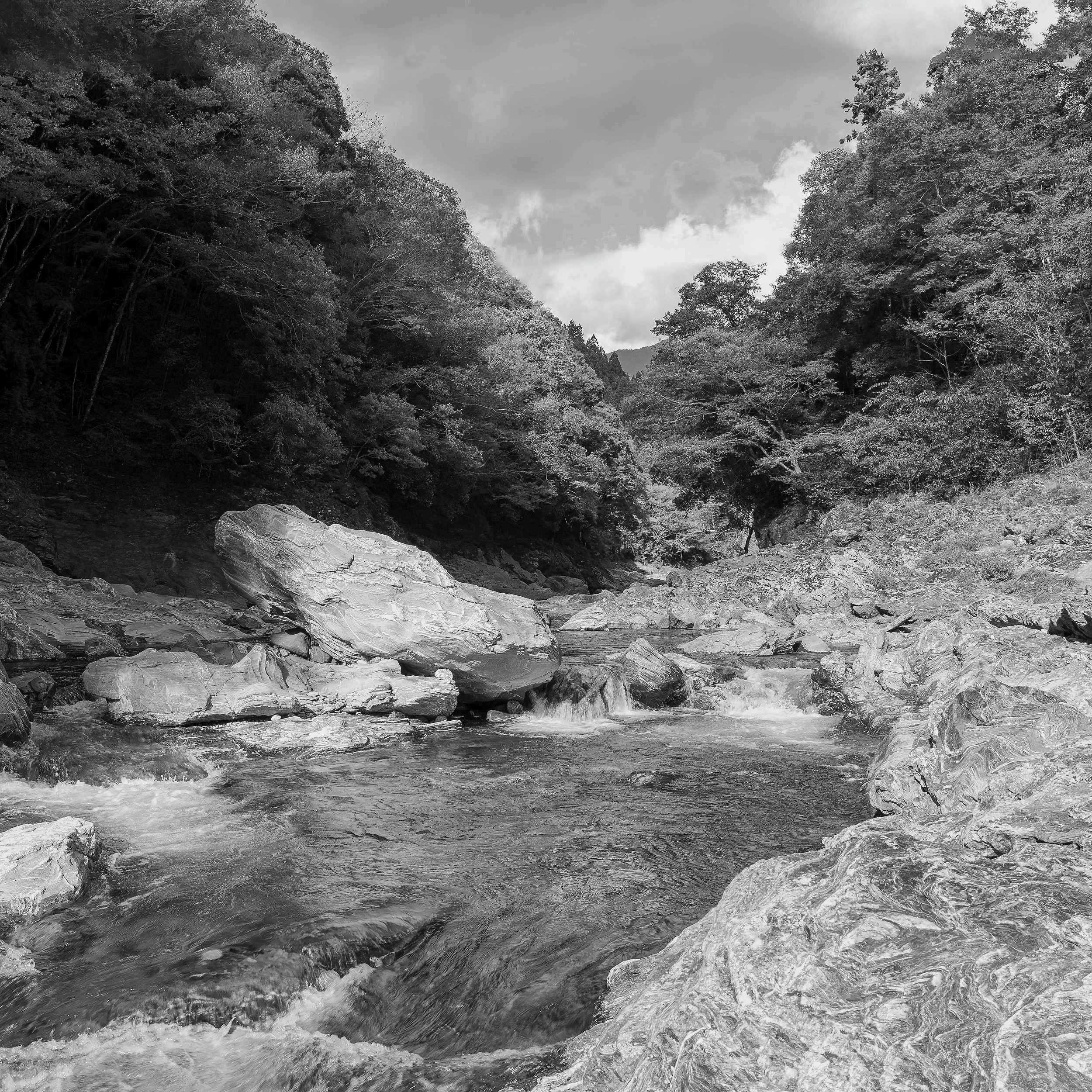 Nature-BnW-Tag-3-199-Bearbeitet-005.jpg