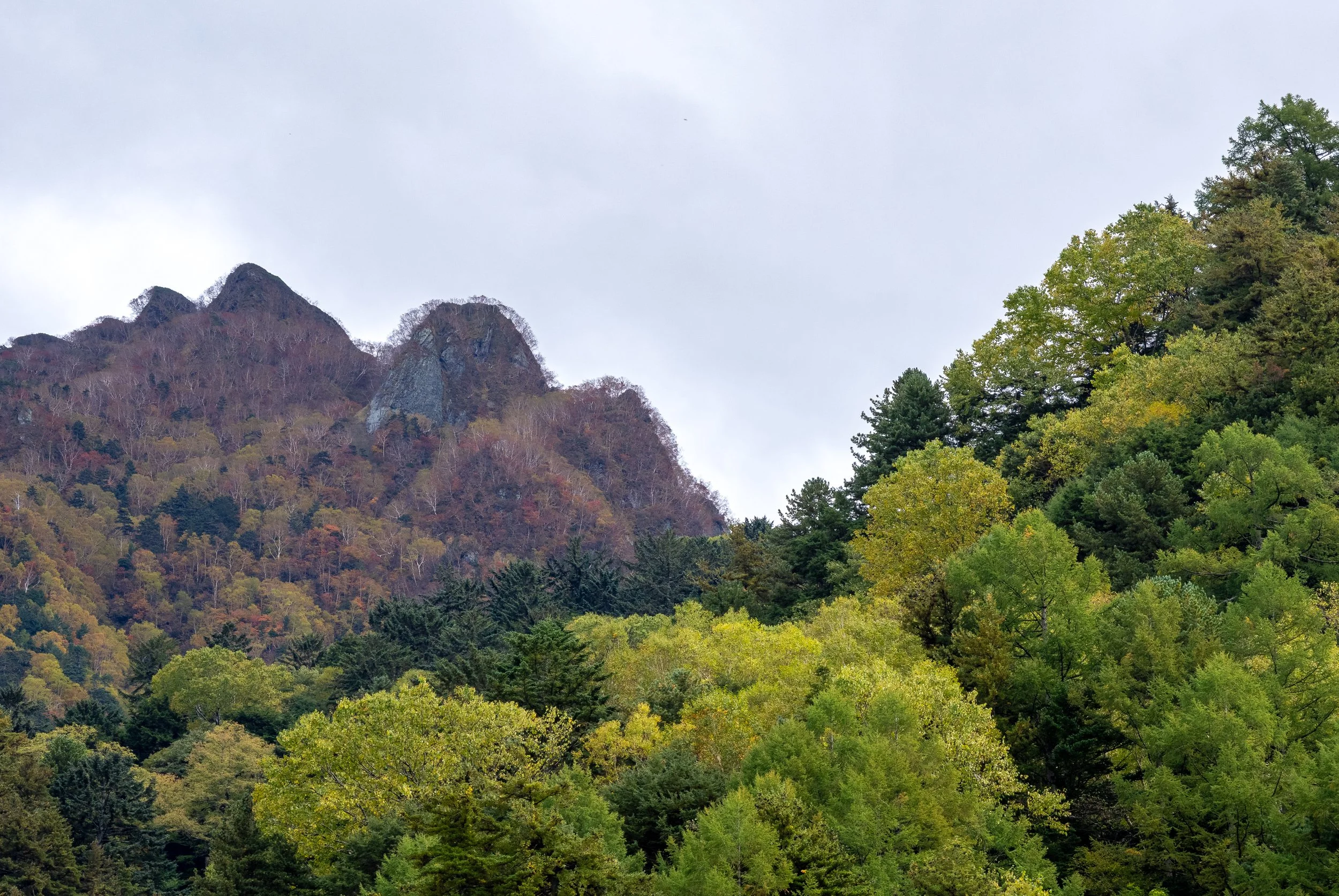 Japan-Okt-2024-399.jpg
