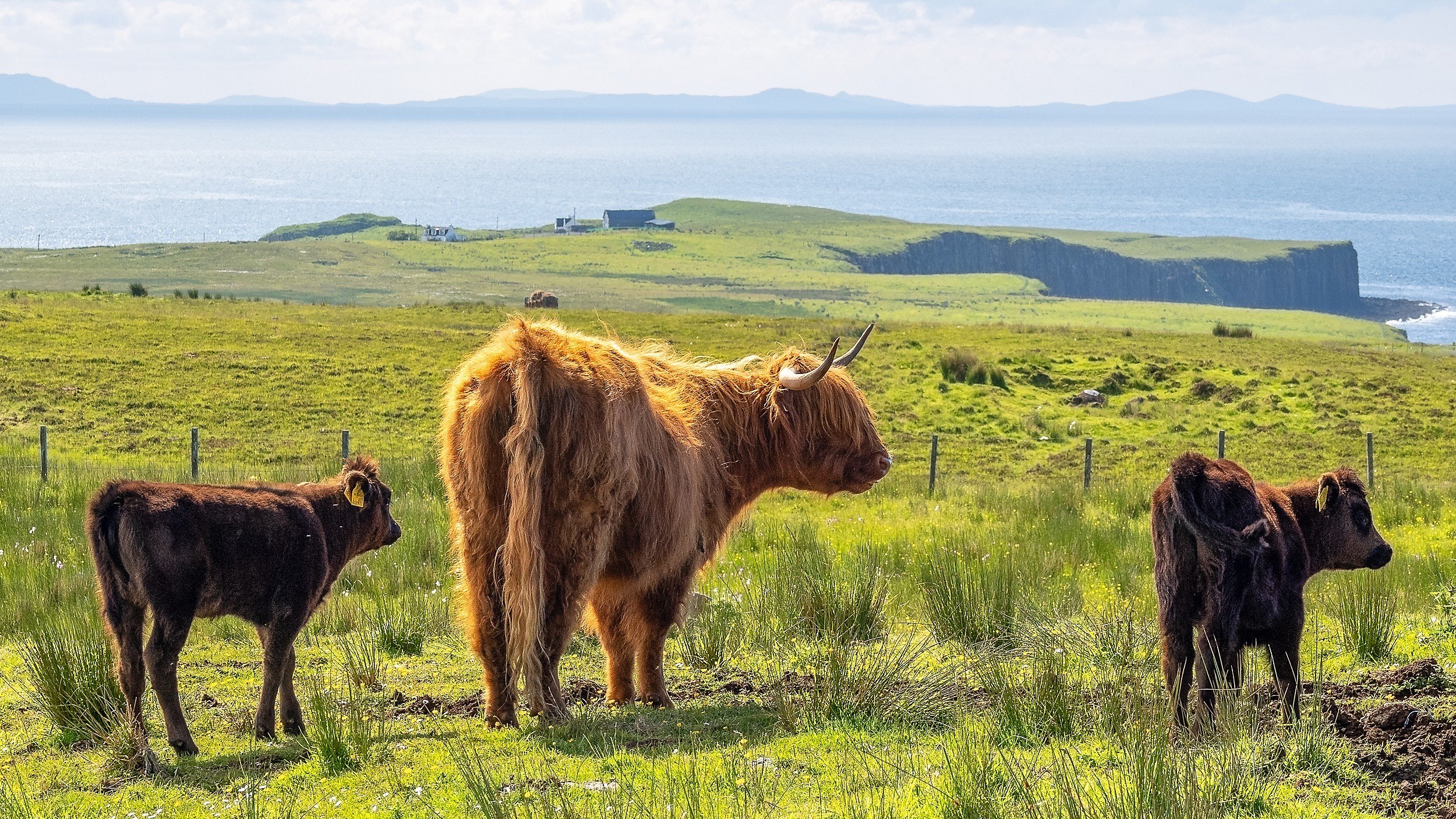 OTS-schottland-2024-web-038.jpg