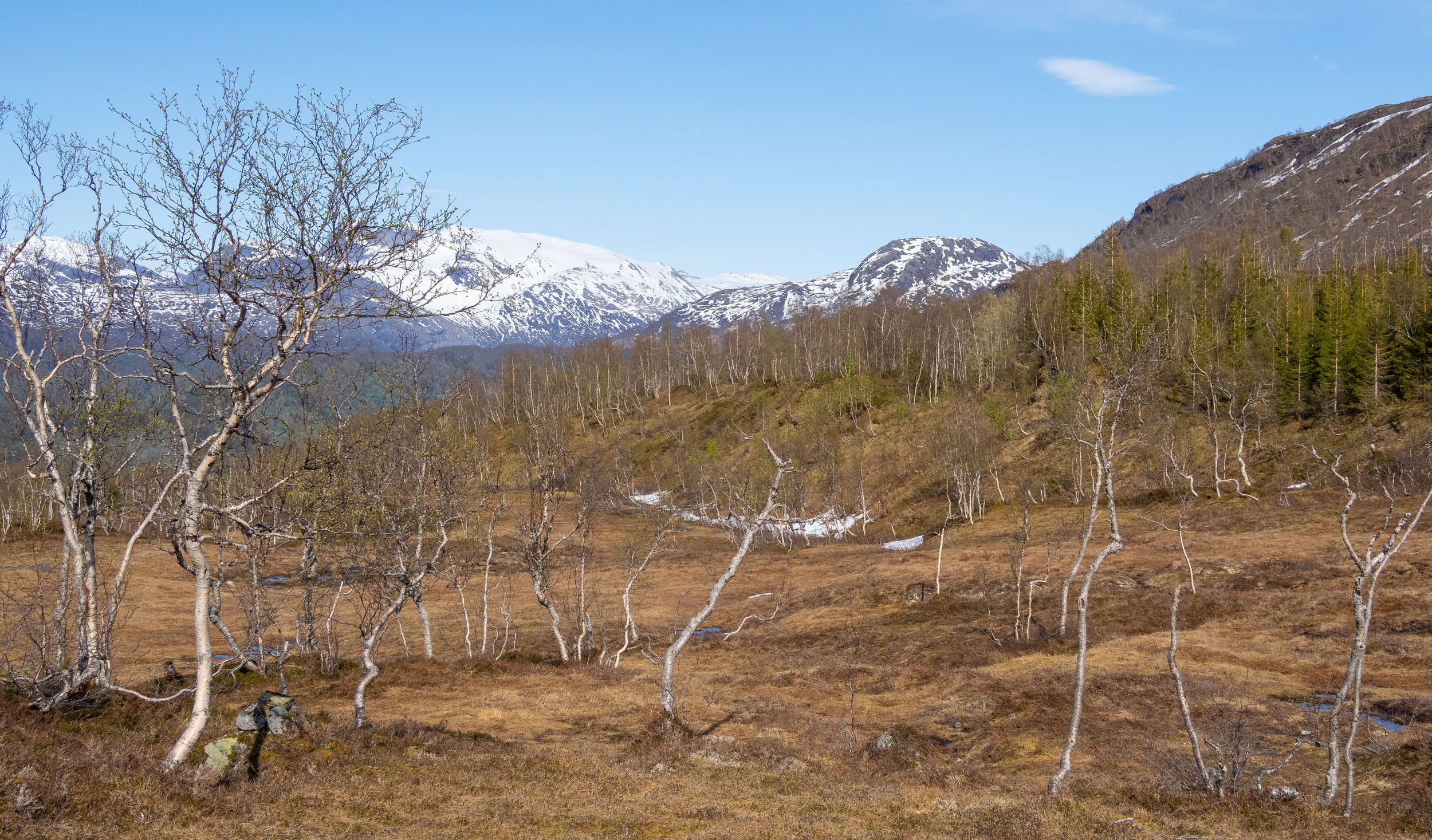 Norwegen-1284.jpg