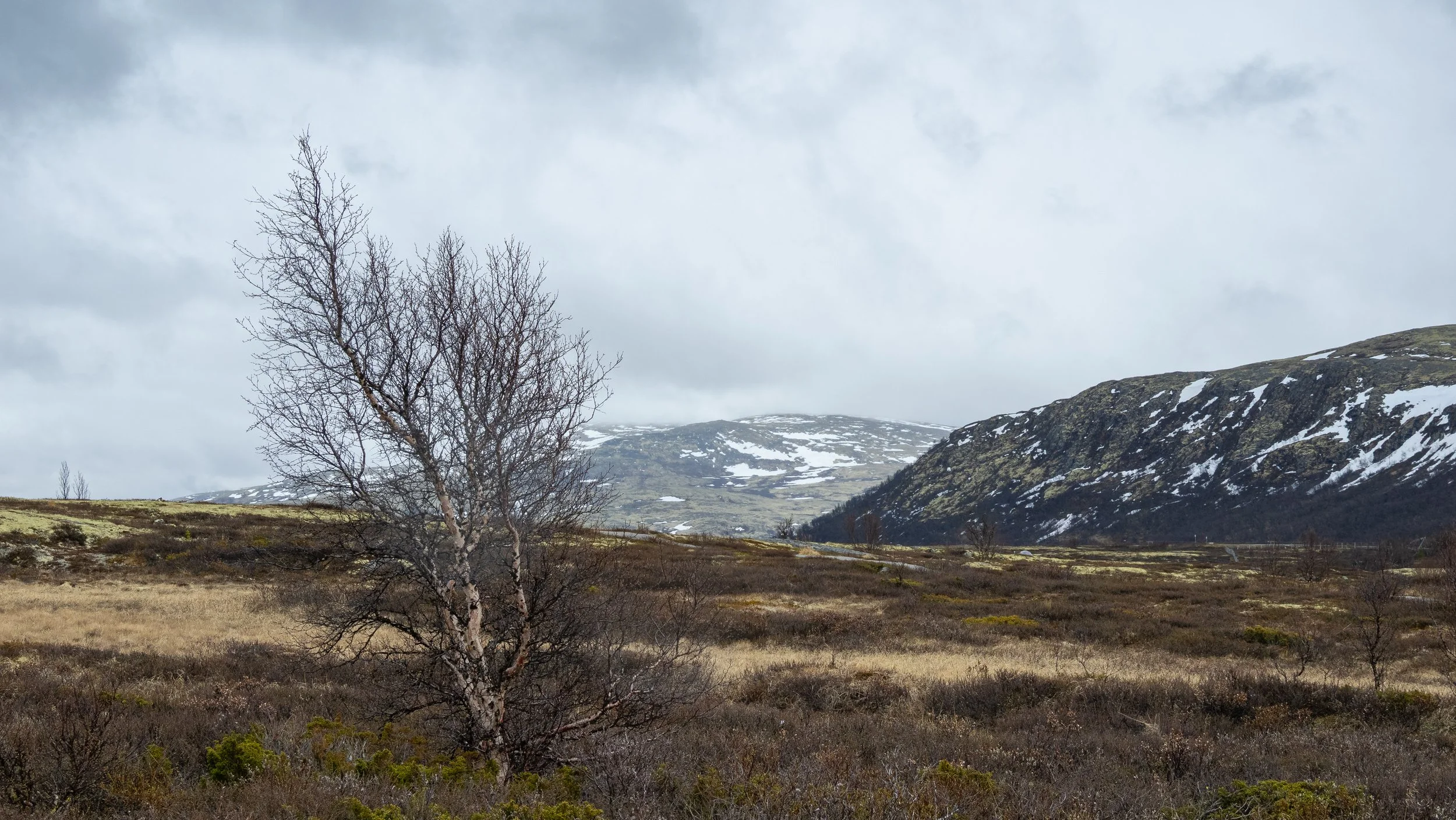 Norwegen-0431.jpg
