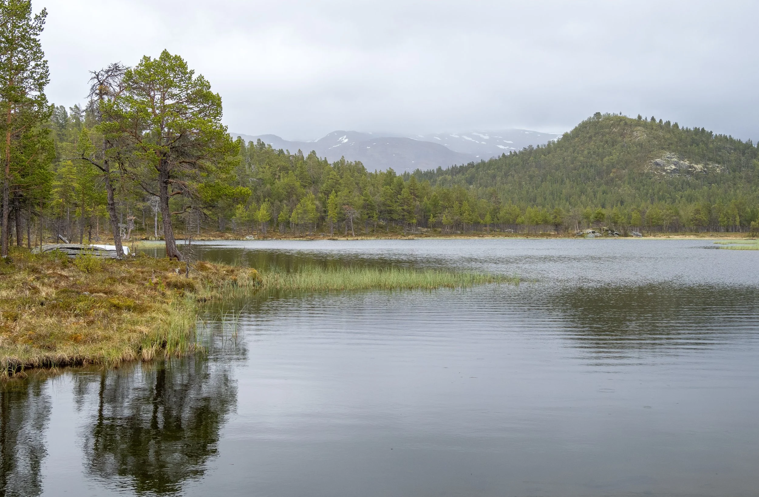 Norwegen-0973.jpg
