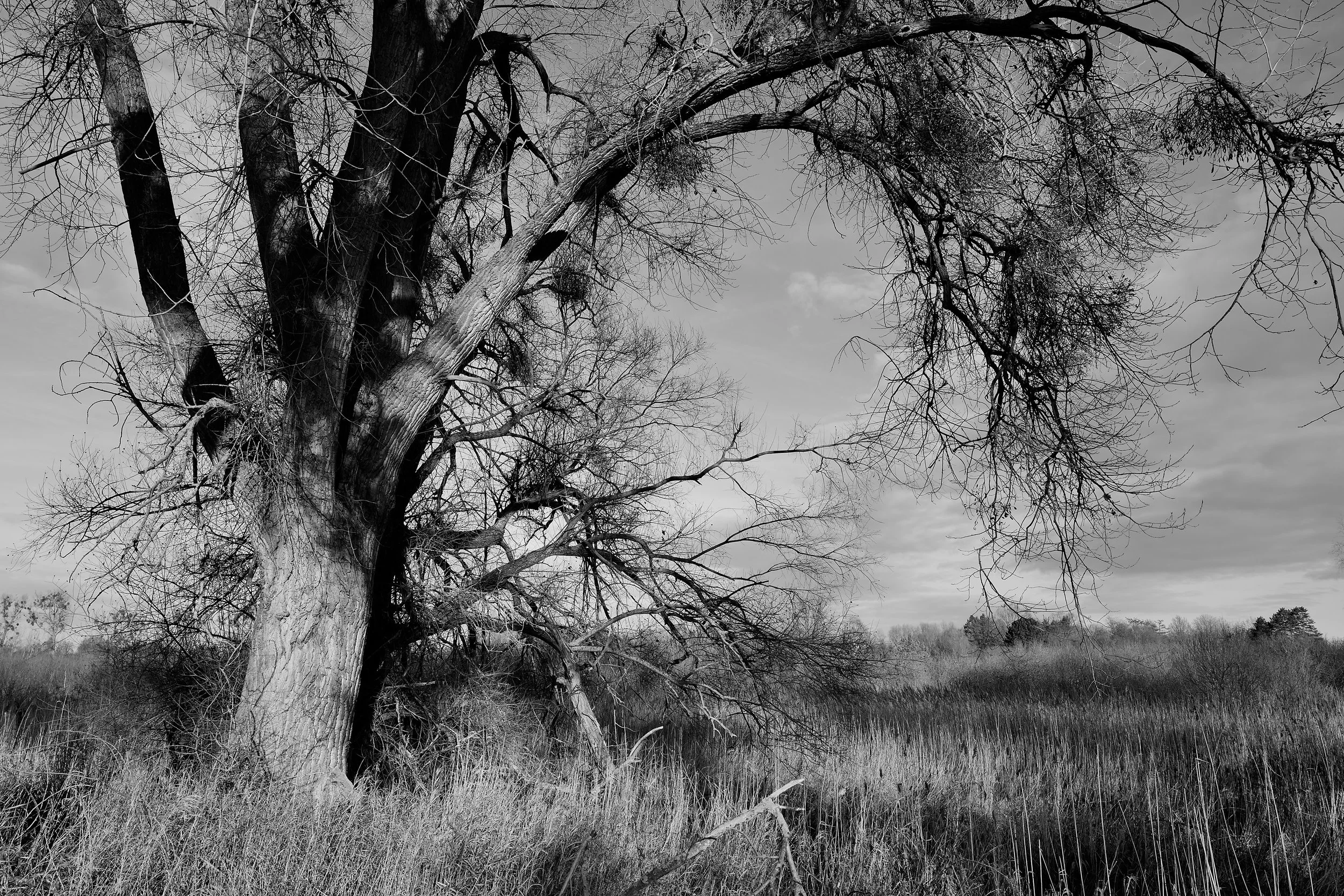 L1000064.jpg