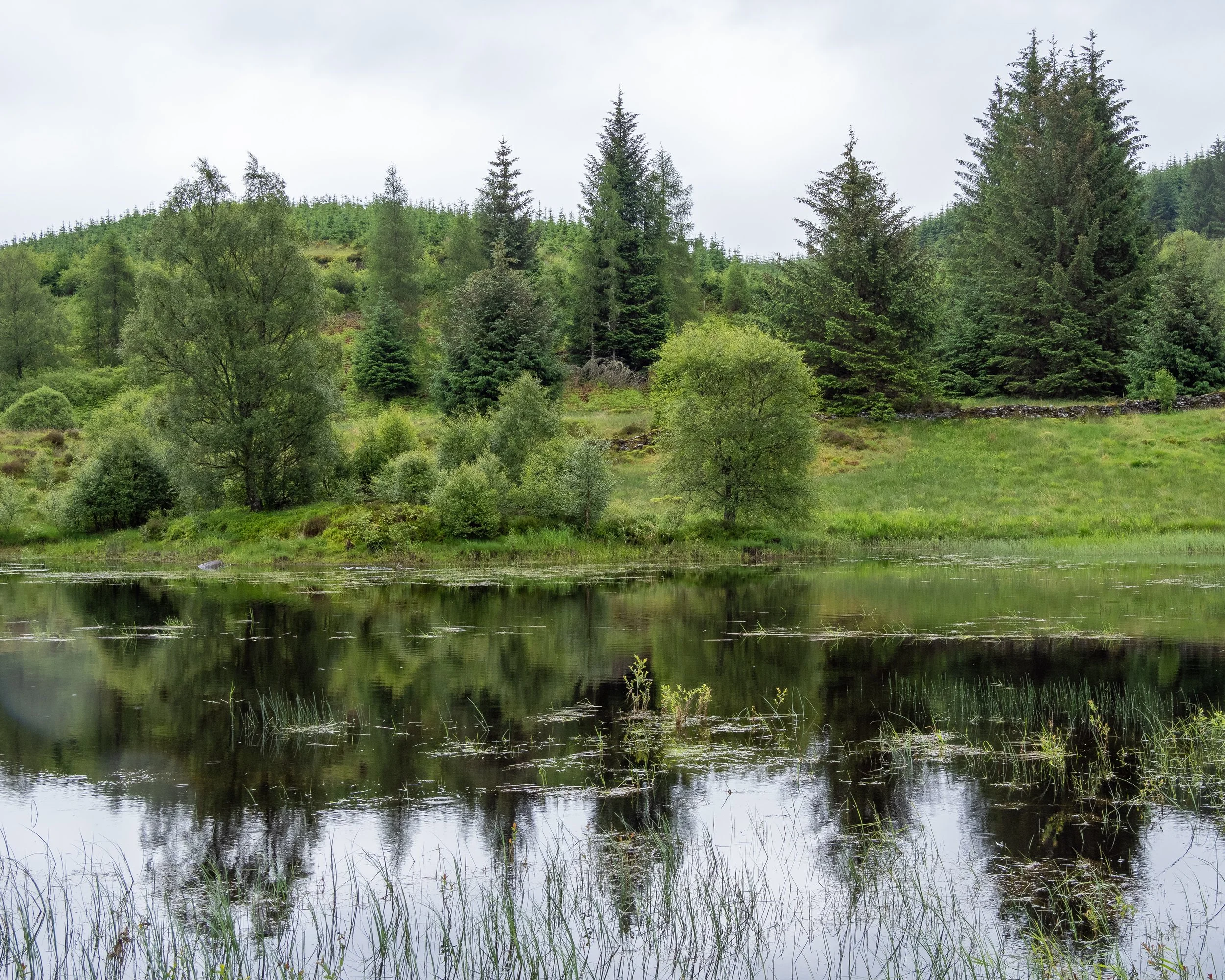 schottland-0381.jpg
