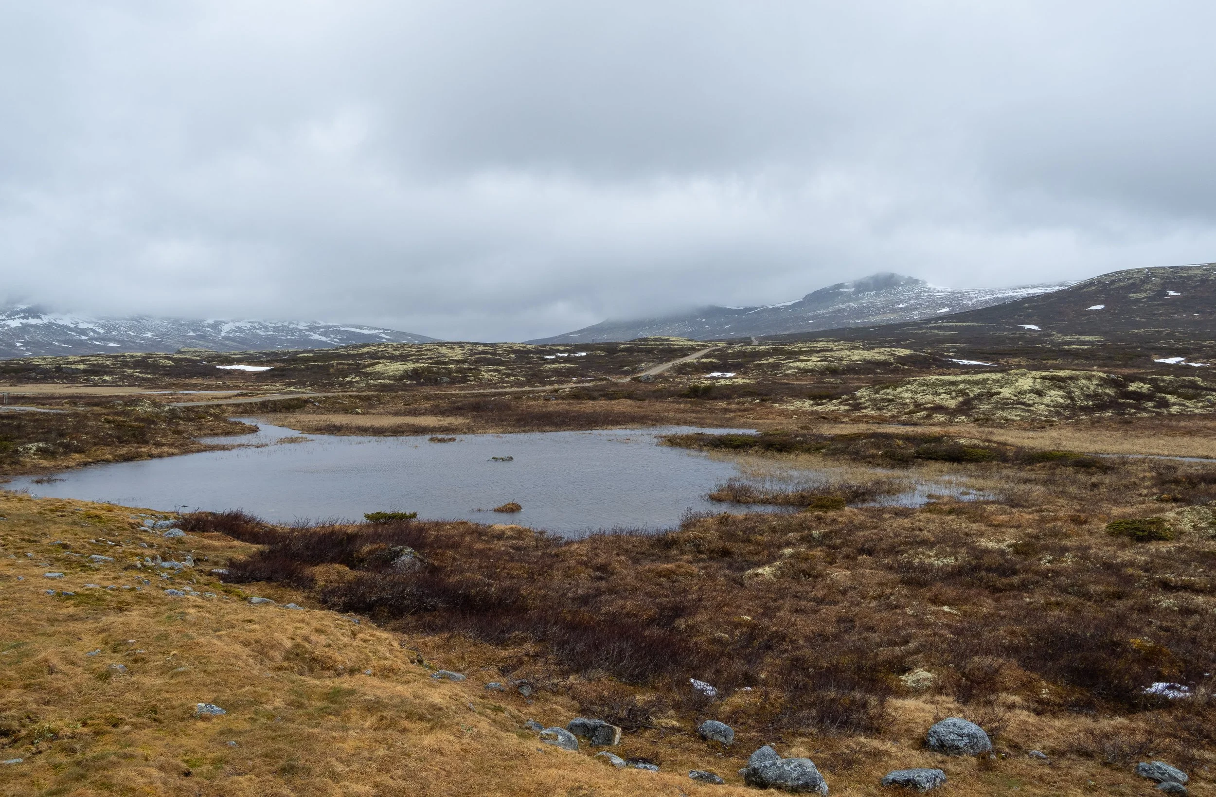 Norwegen-1393.jpg