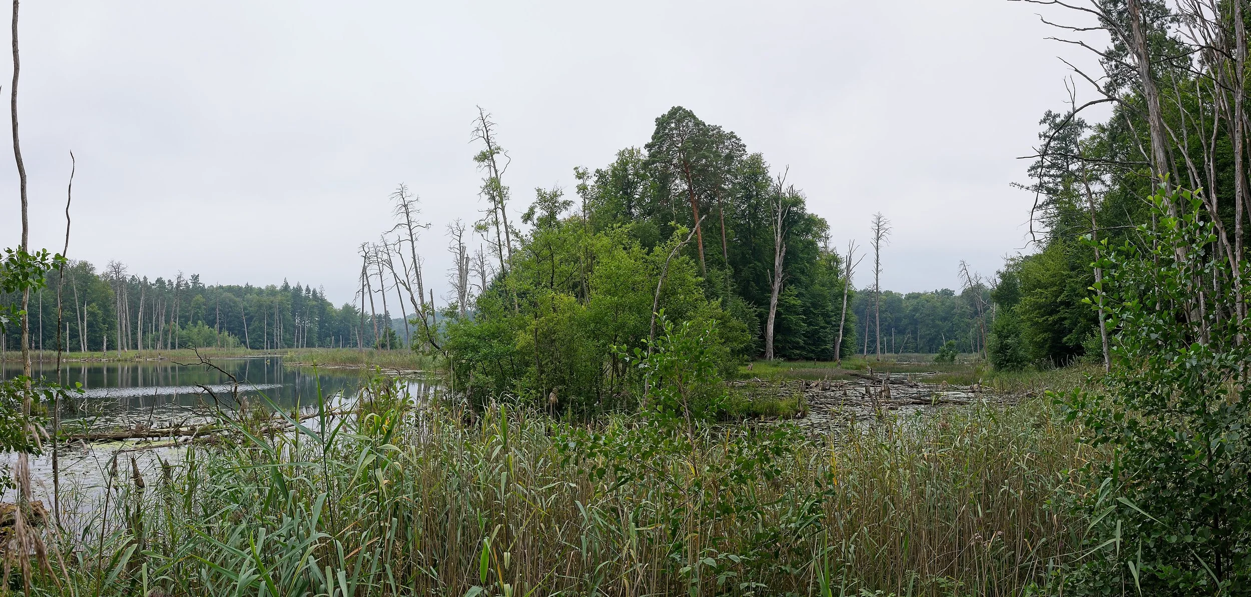 L1010906-Pano.jpg