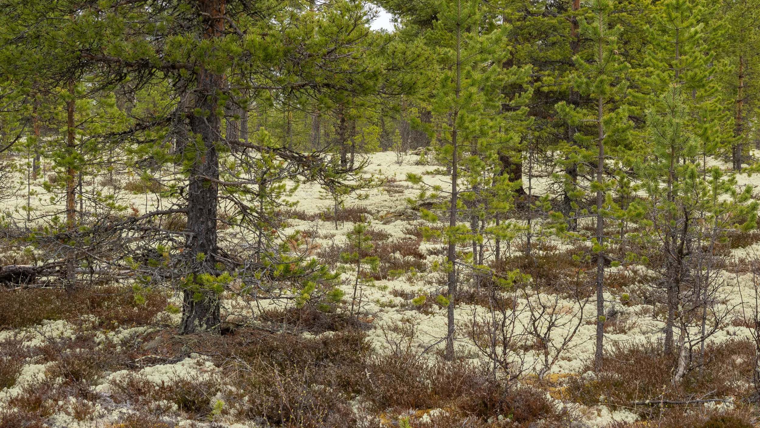 Norwegen-1052.jpg