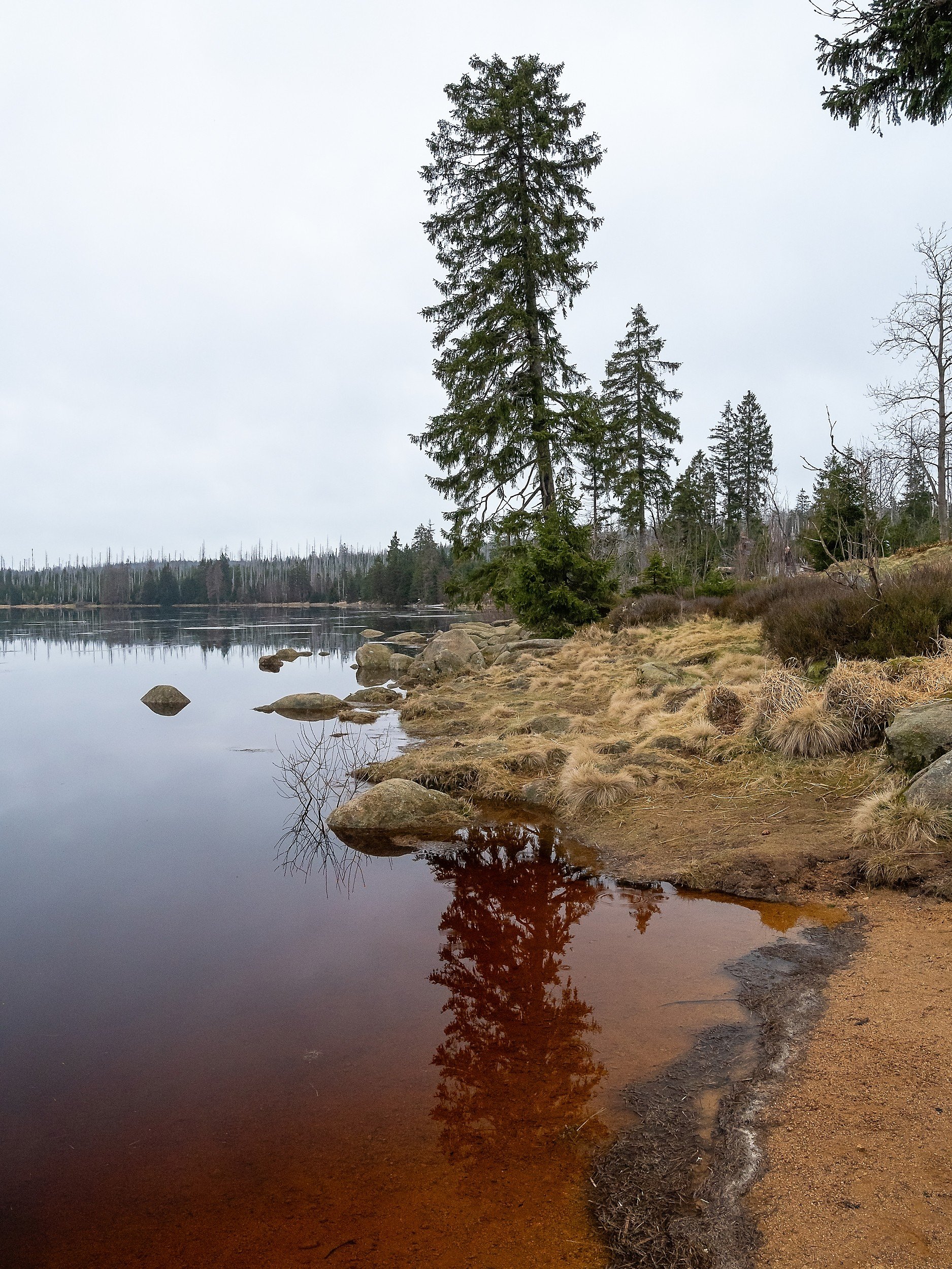 OTS-Harz-2024-016.jpg