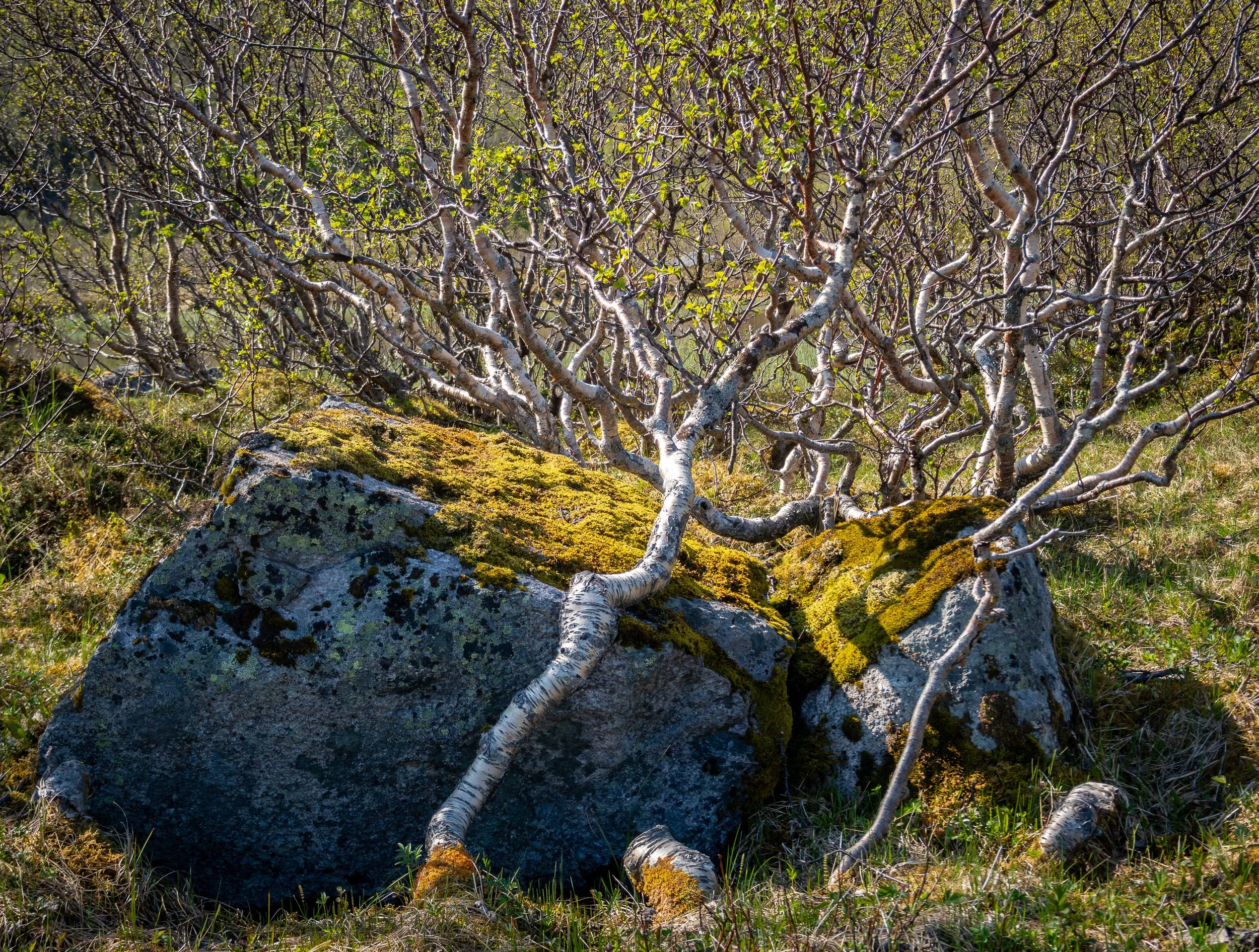 Norwegen-PEN-012.jpg