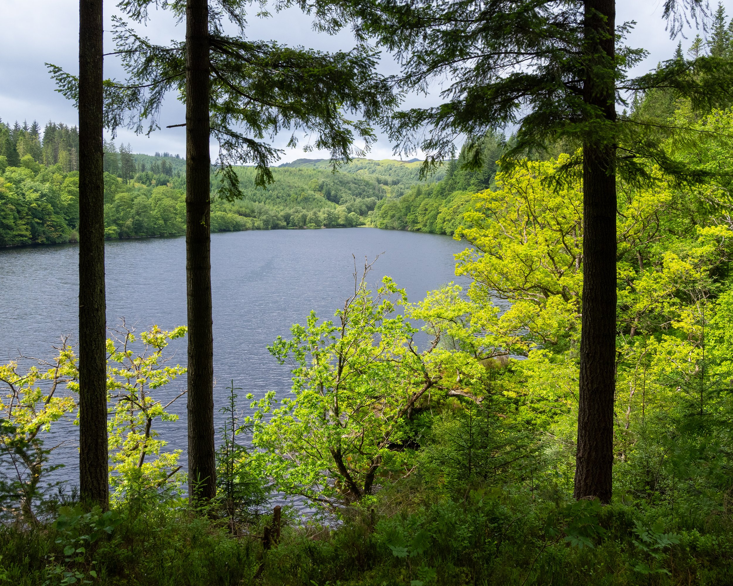 schottland-0388.jpg
