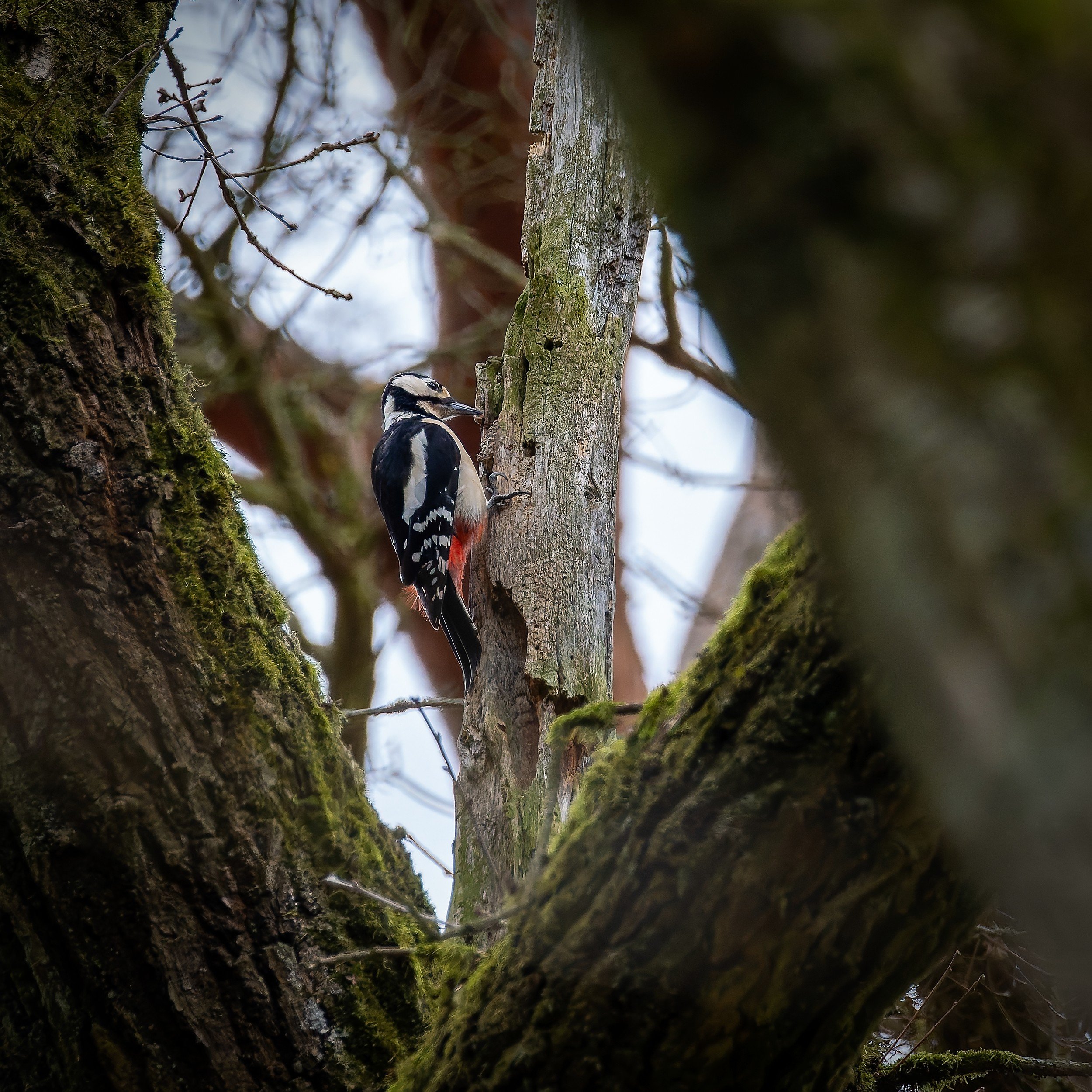 OTS-walks-spring-021.jpg