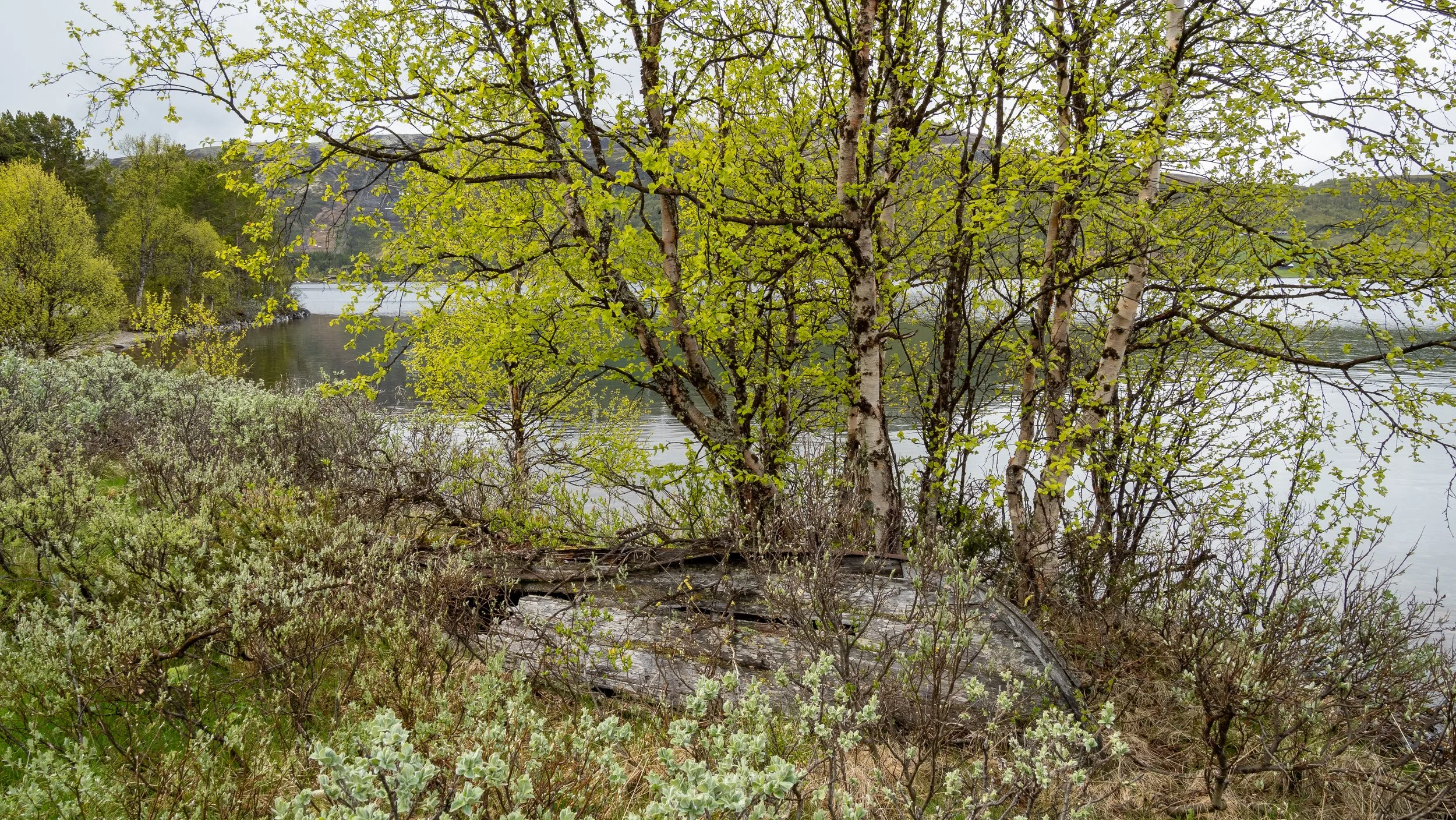 Norwegen-0364.jpg