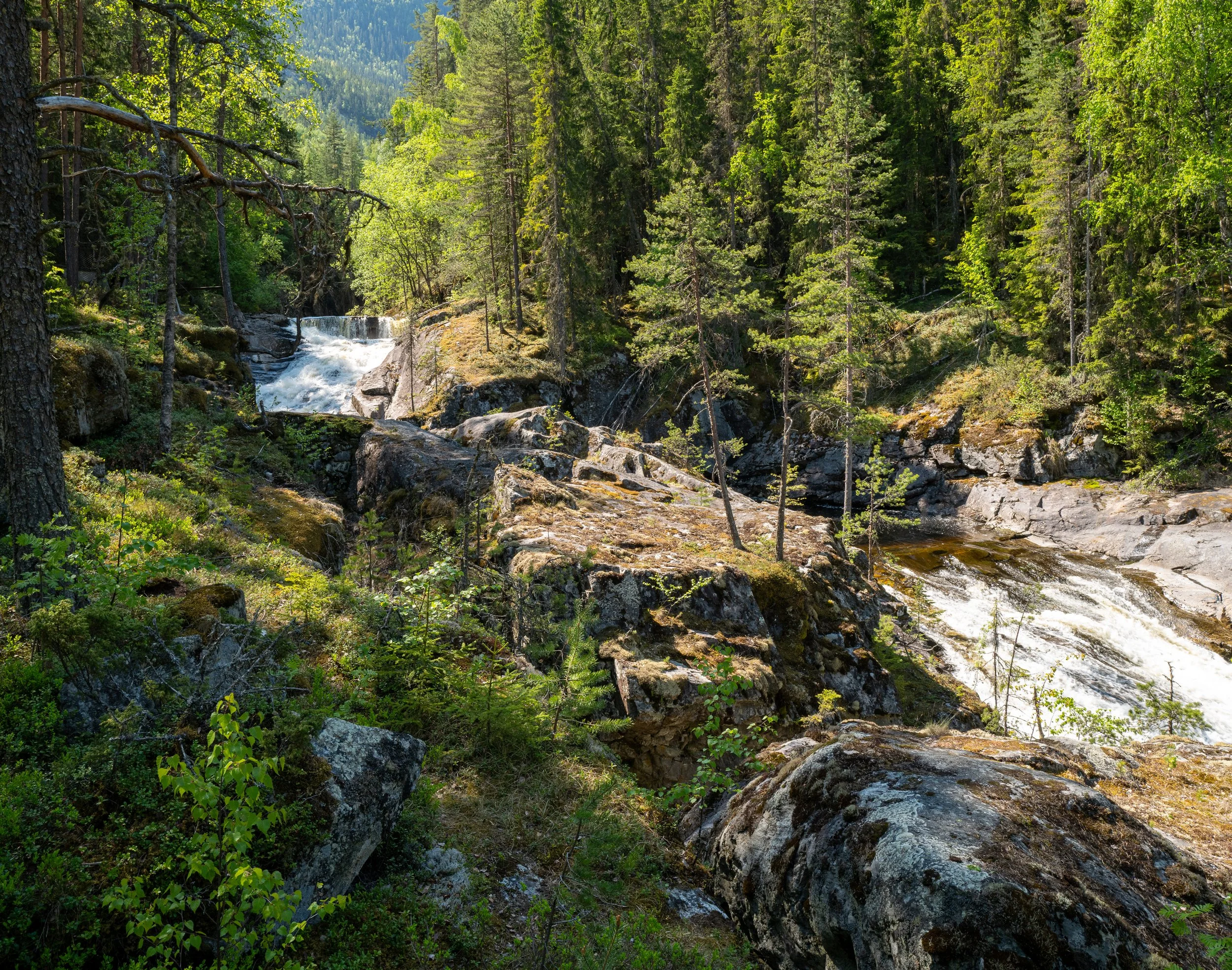 Norwegen-151-1.jpg