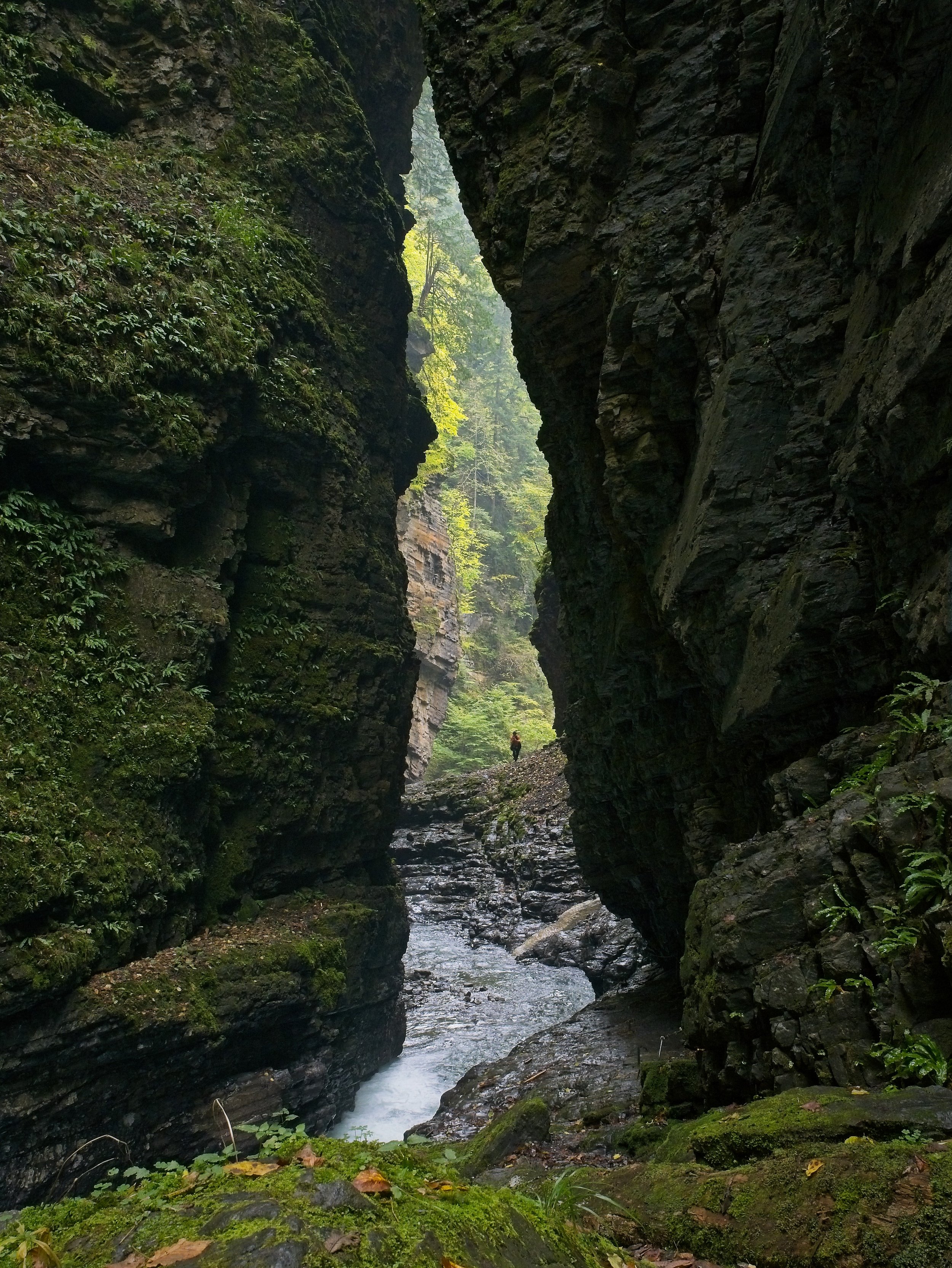 _1000759.jpg