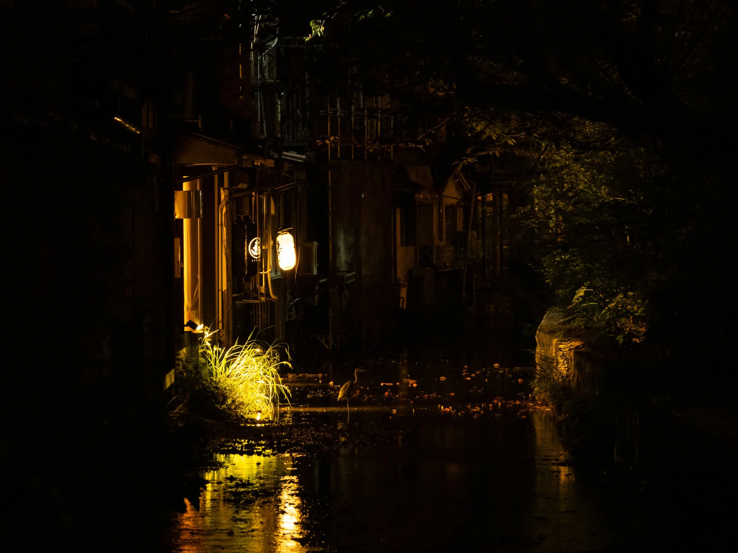 Japan-Okt-2024-1186.jpg