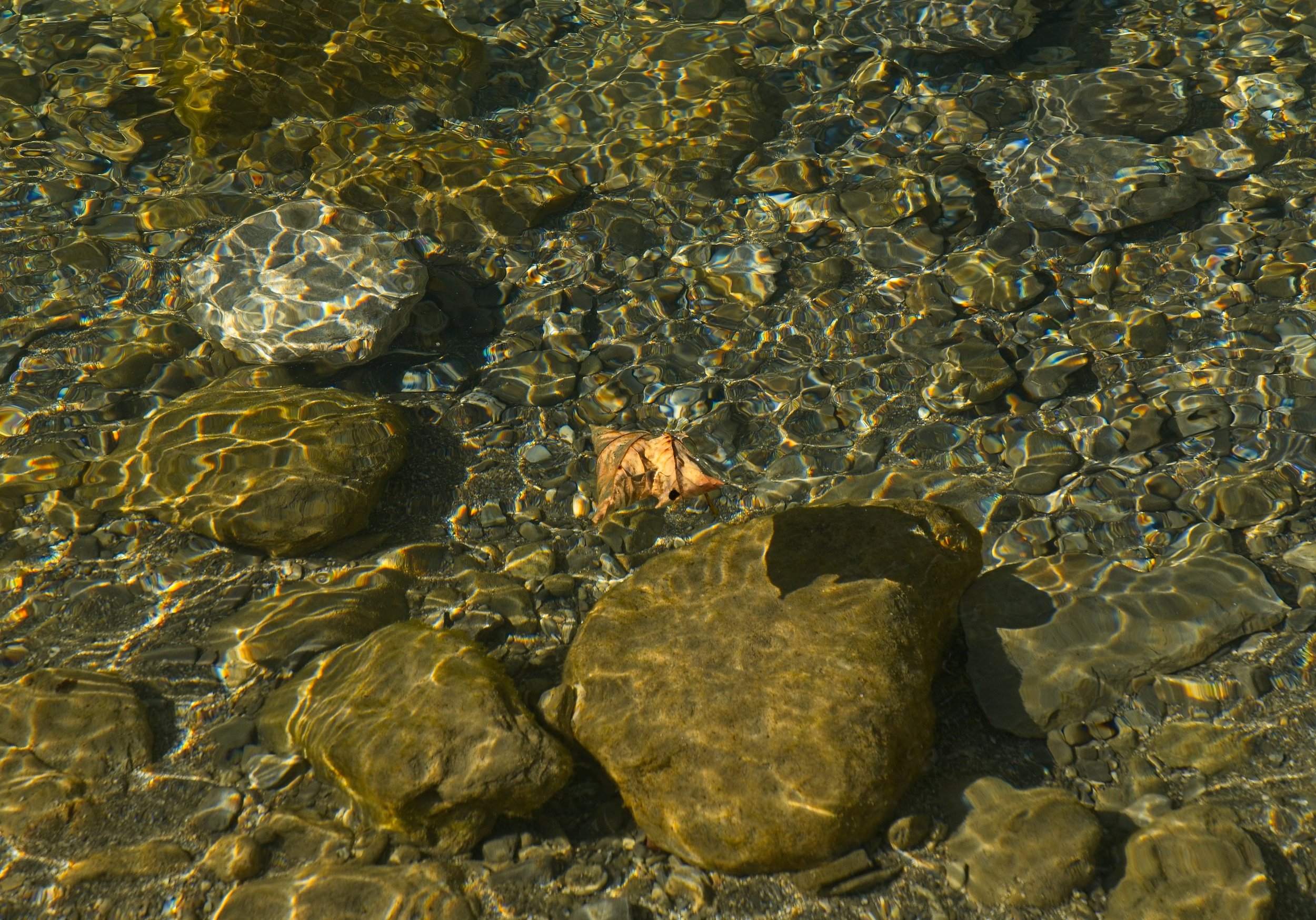 _1001008.jpg