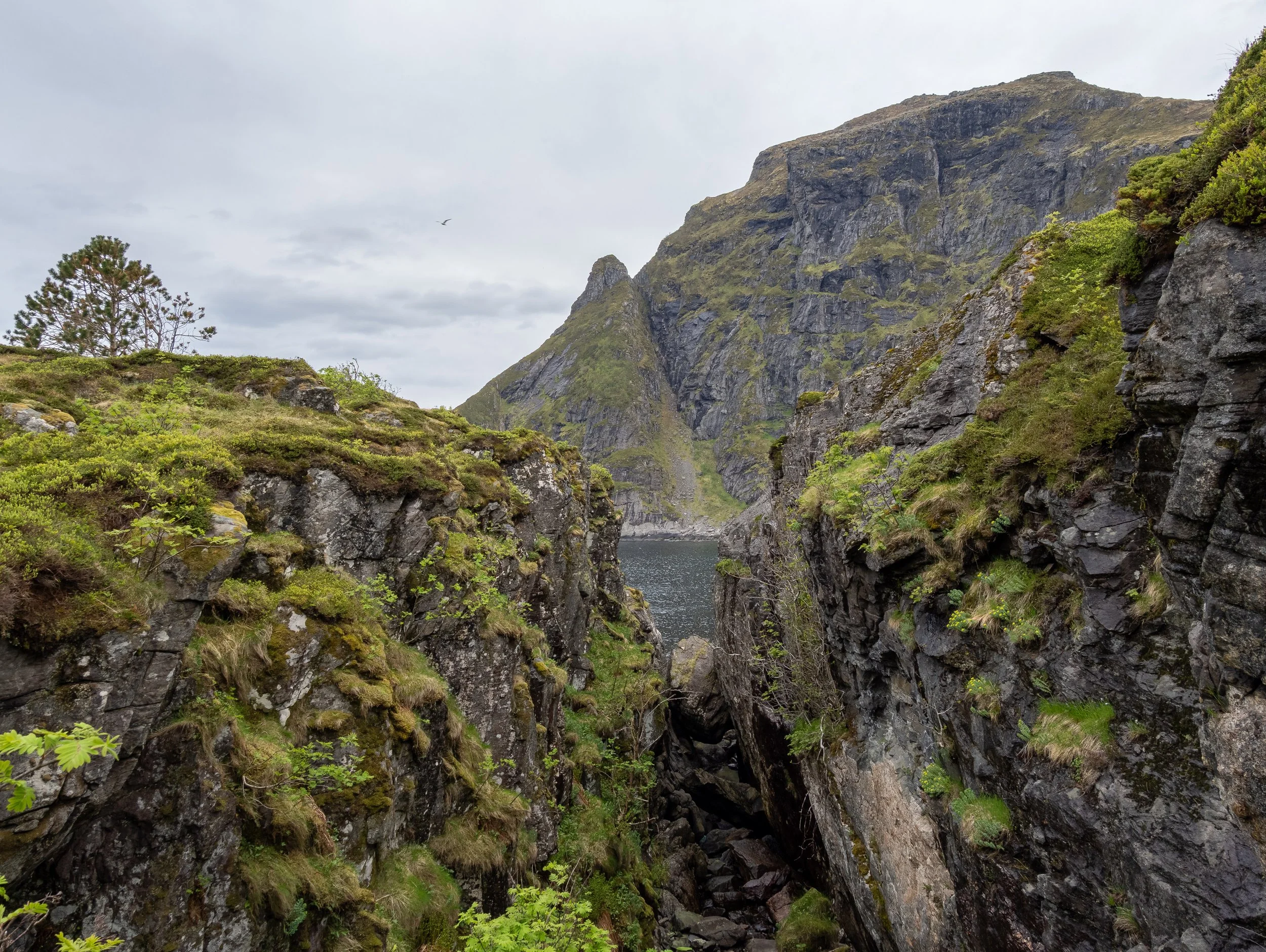 Norwegen-0529.jpg