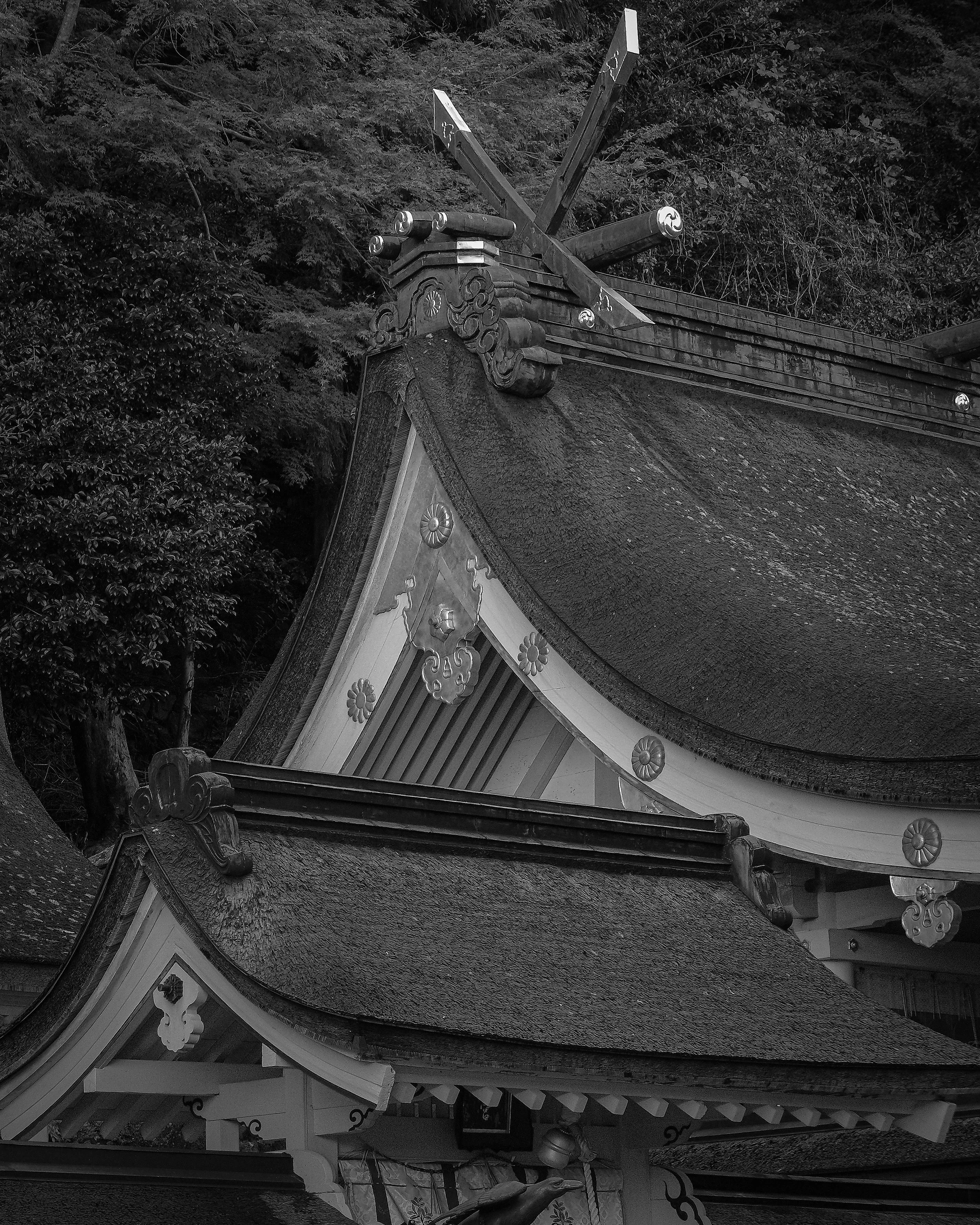 Japan-070.jpg
