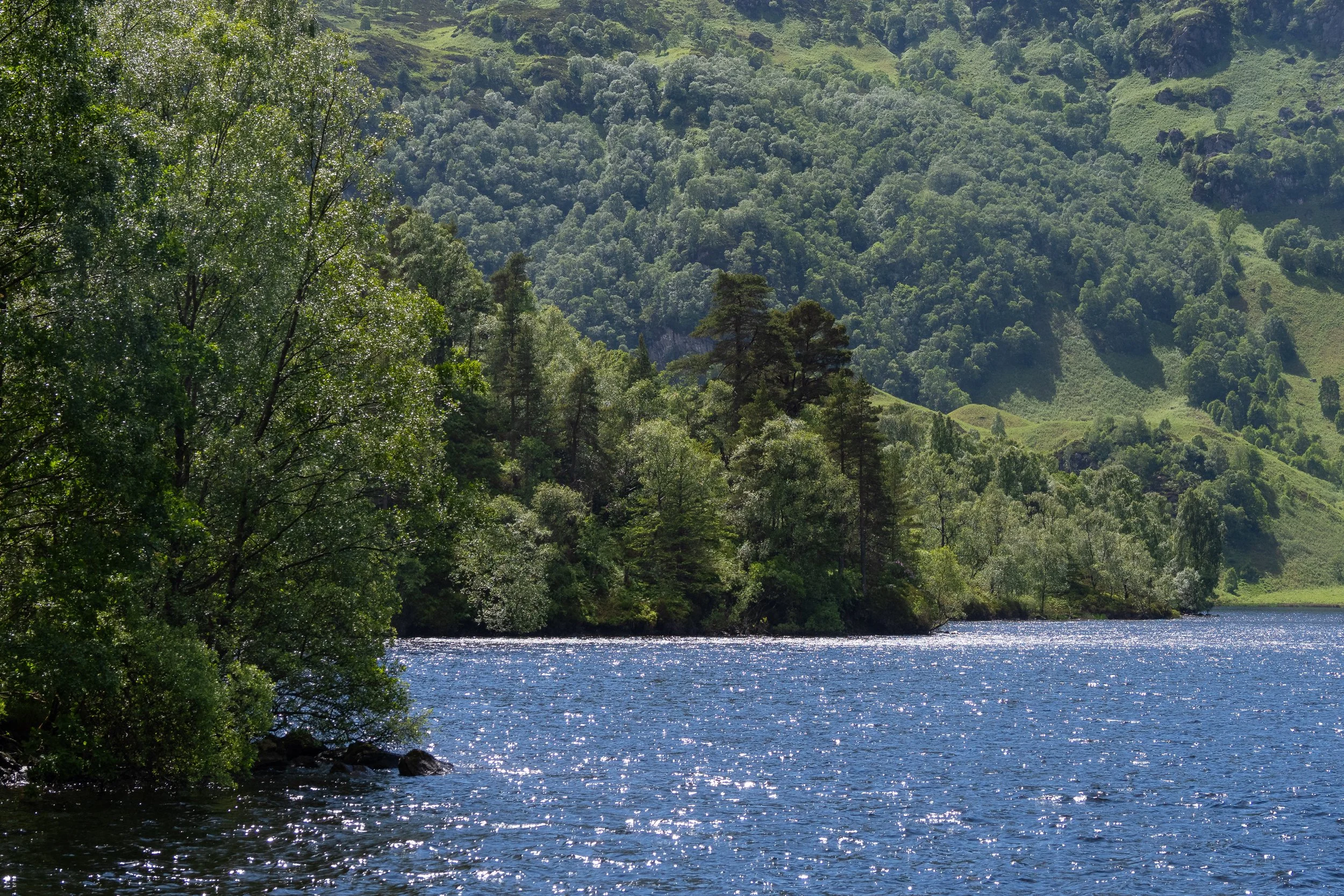 schottland-0427.jpg